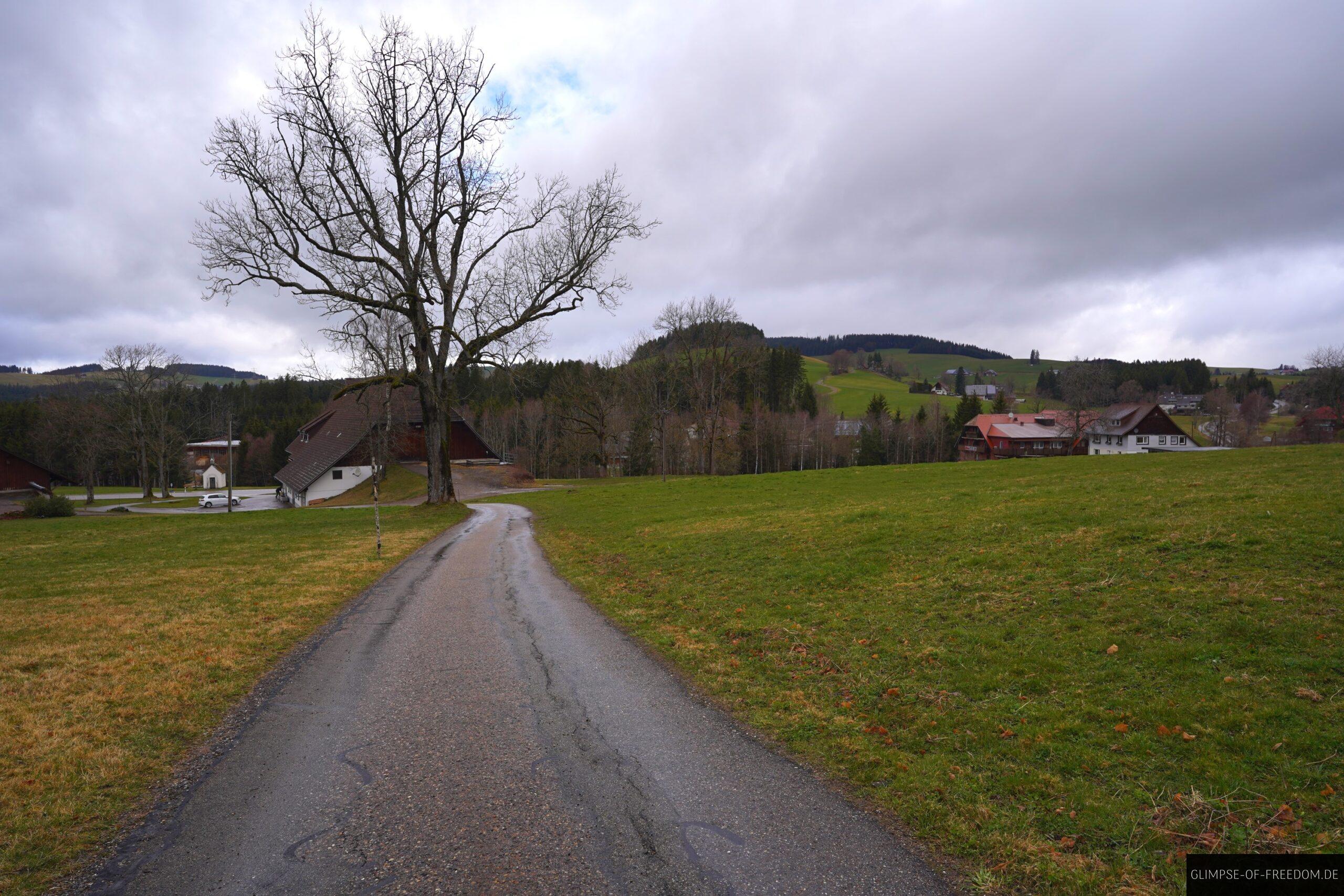 Weg aus der Ravennaschlucht Richtung Ortschaft scaled Weg aus der Ravennaschlucht Richtung Ortschaft