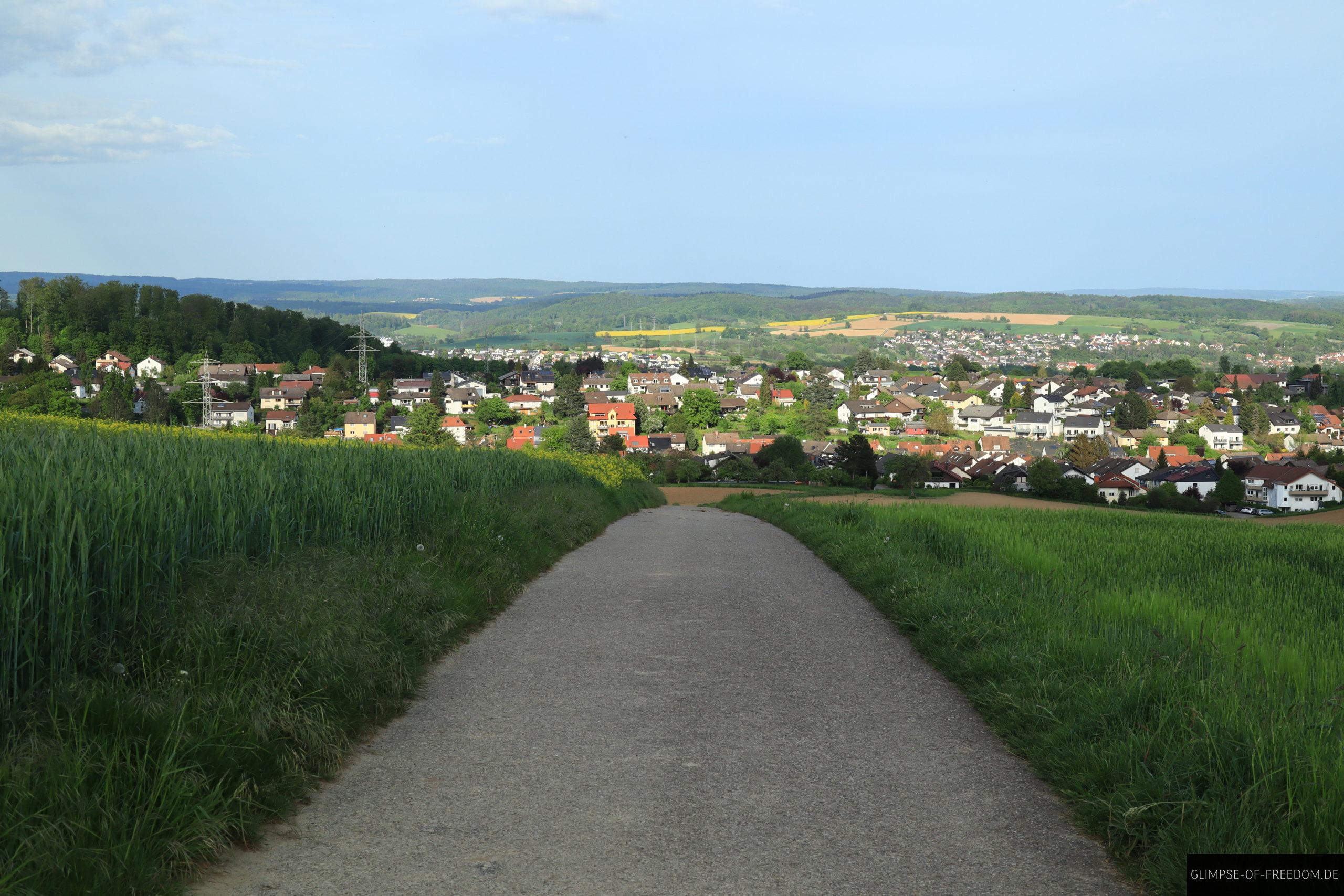 Weg nach Gauangelloch mit Ausblick scaled Weg nach Gauangelloch mit Ausblick