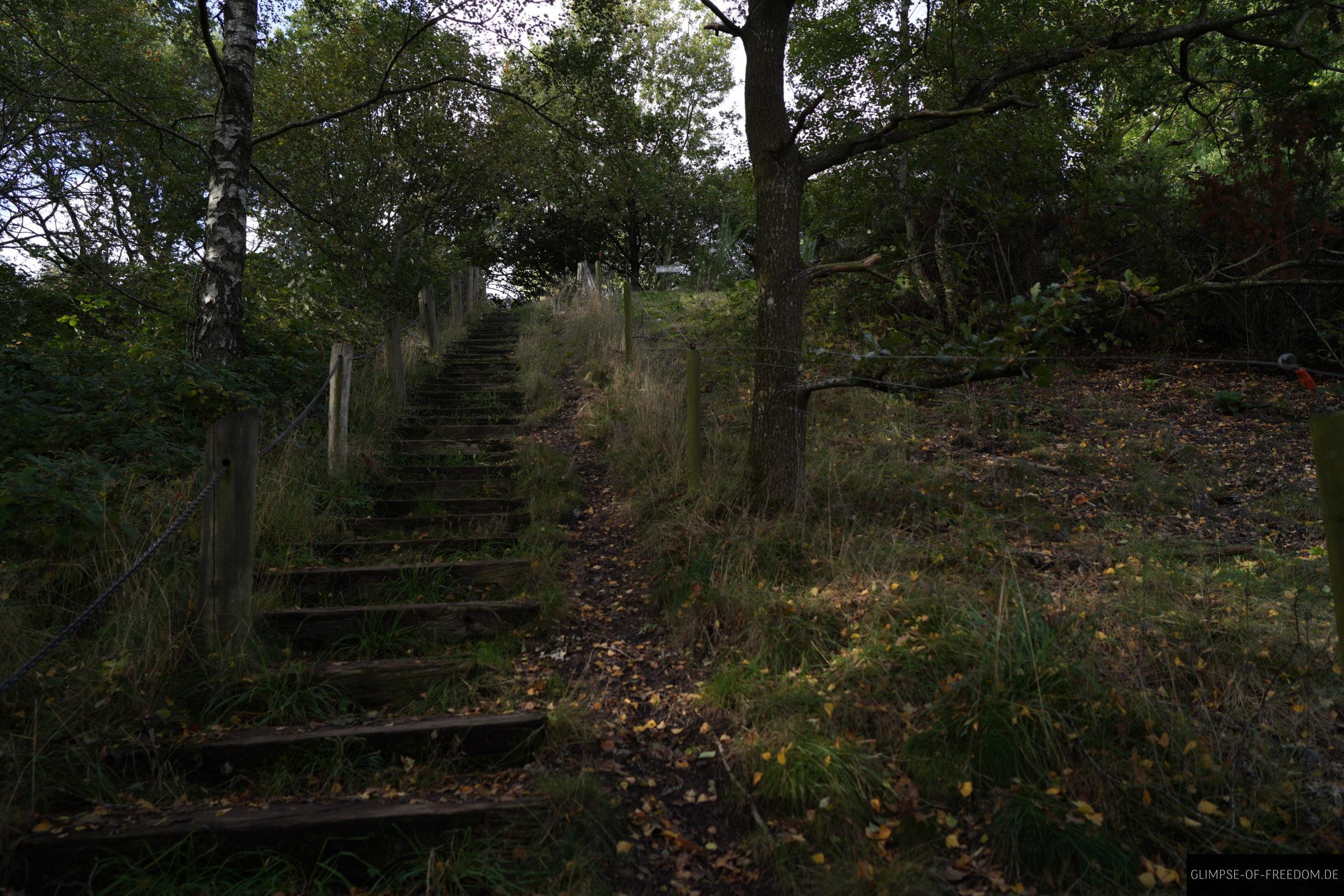 Weg nach Hobro ueber Holztreppe scaled Weg nach Hobro über Holztreppe