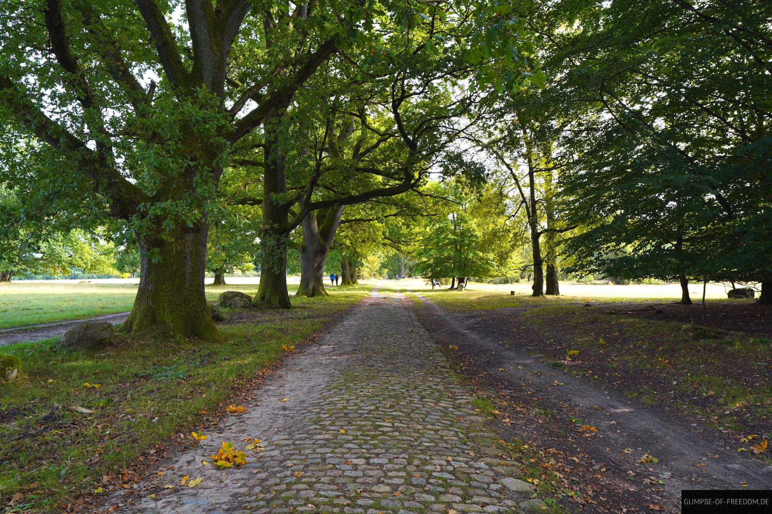 Weg nach Wilsede scaled Weg nach Wilsede