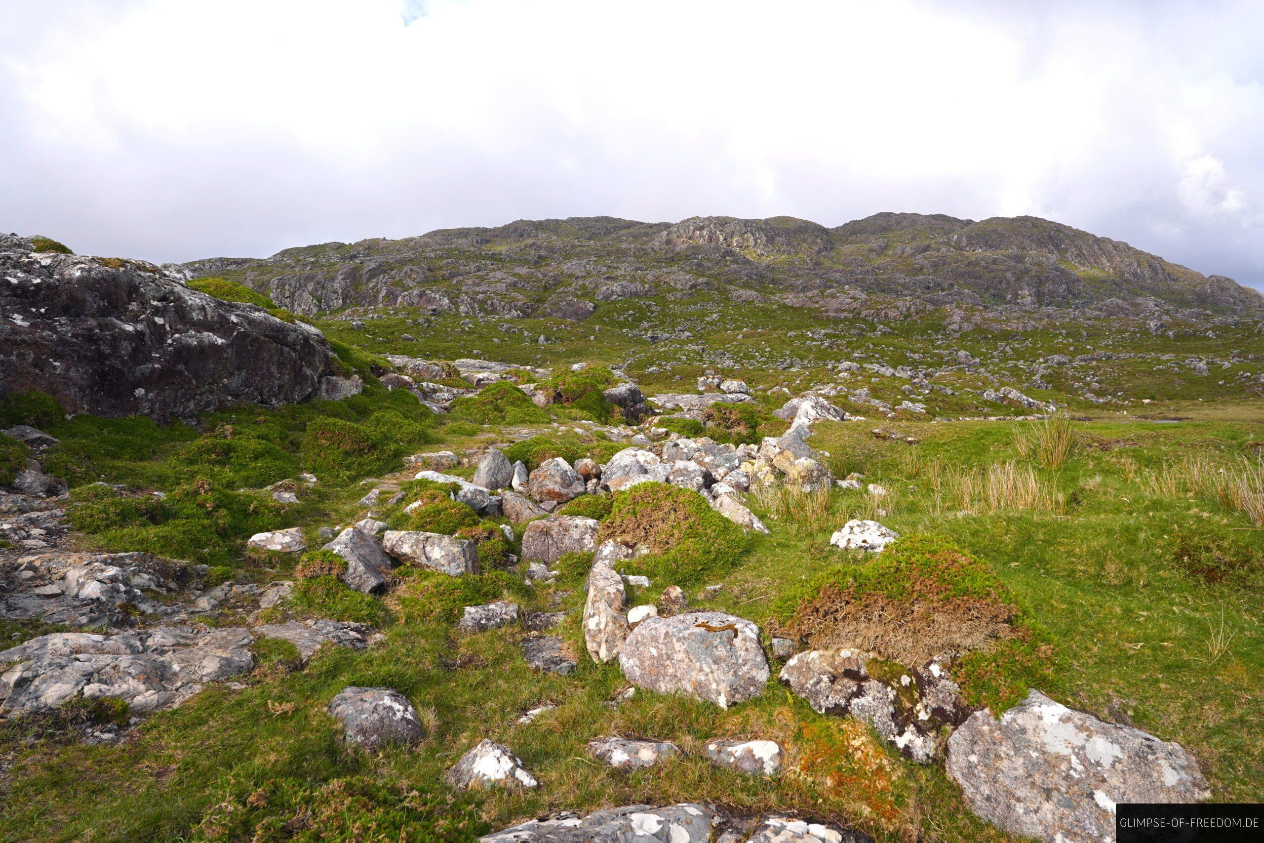 Weg ueber steine und Moos scaled Weg über steine und Moos