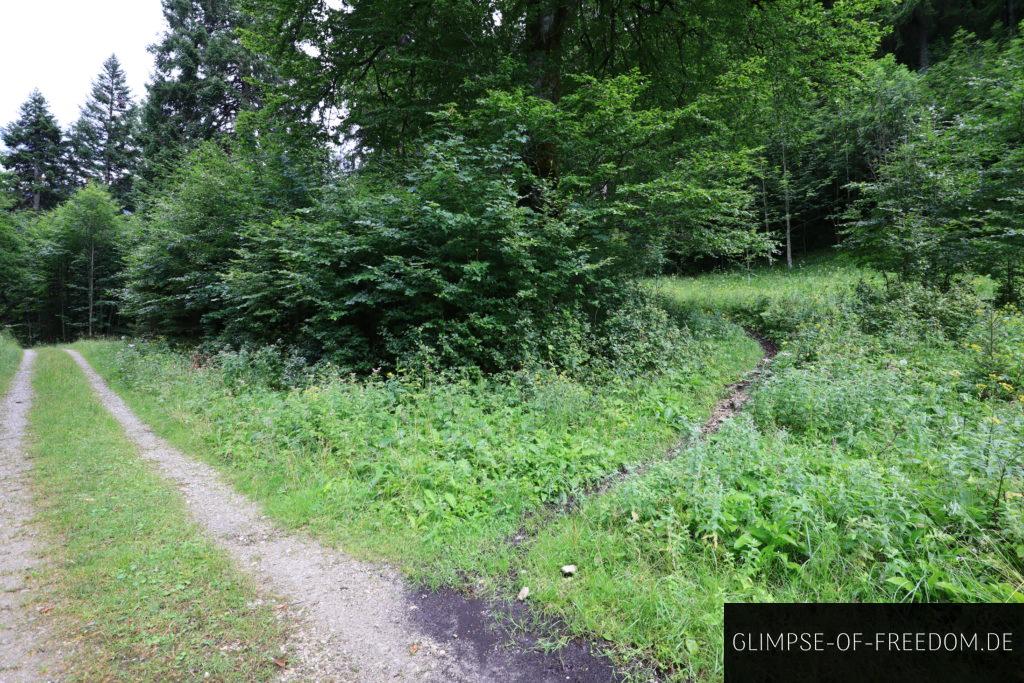 Weggabelung am Forstweg Fürstenweg