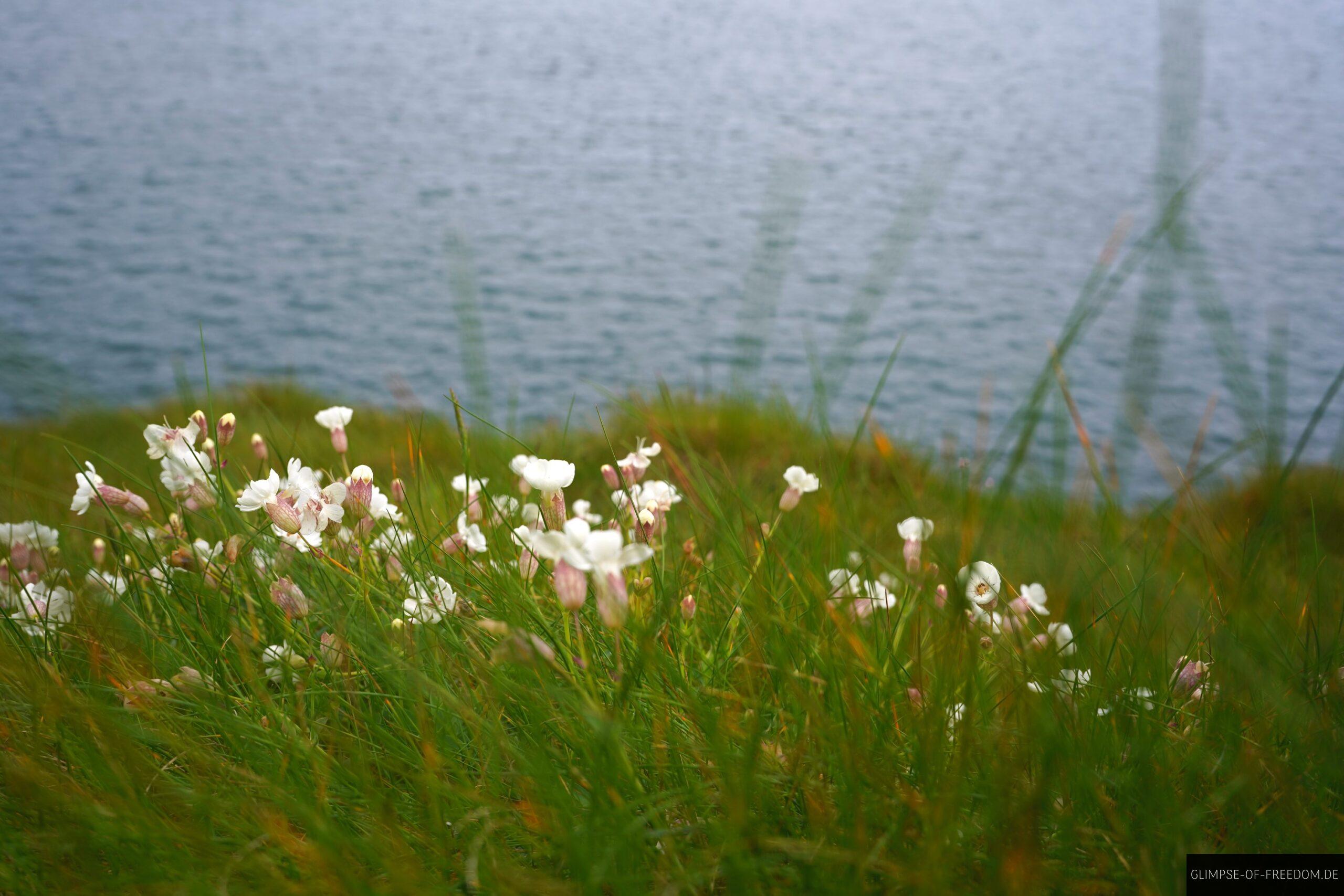 Weisse Klippen an der Kupferkueste scaled Weiße Klippen an der Kupferküste