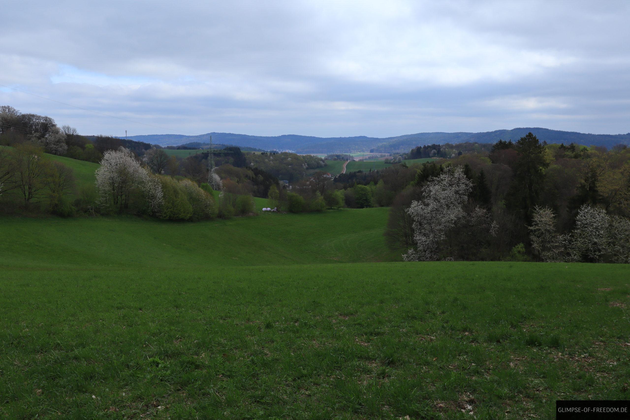 Weite Wiesen mit Odenwald-Blick