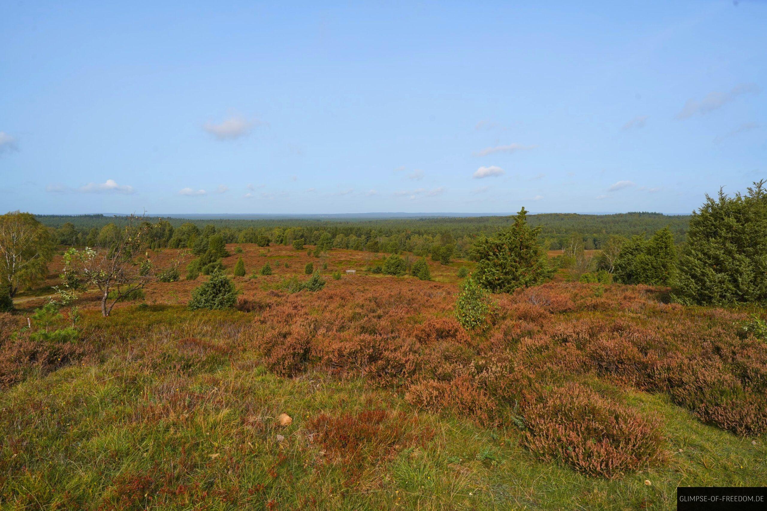 Weitsicht am Wilseder Berg scaled Weitsicht am Wilseder Berg