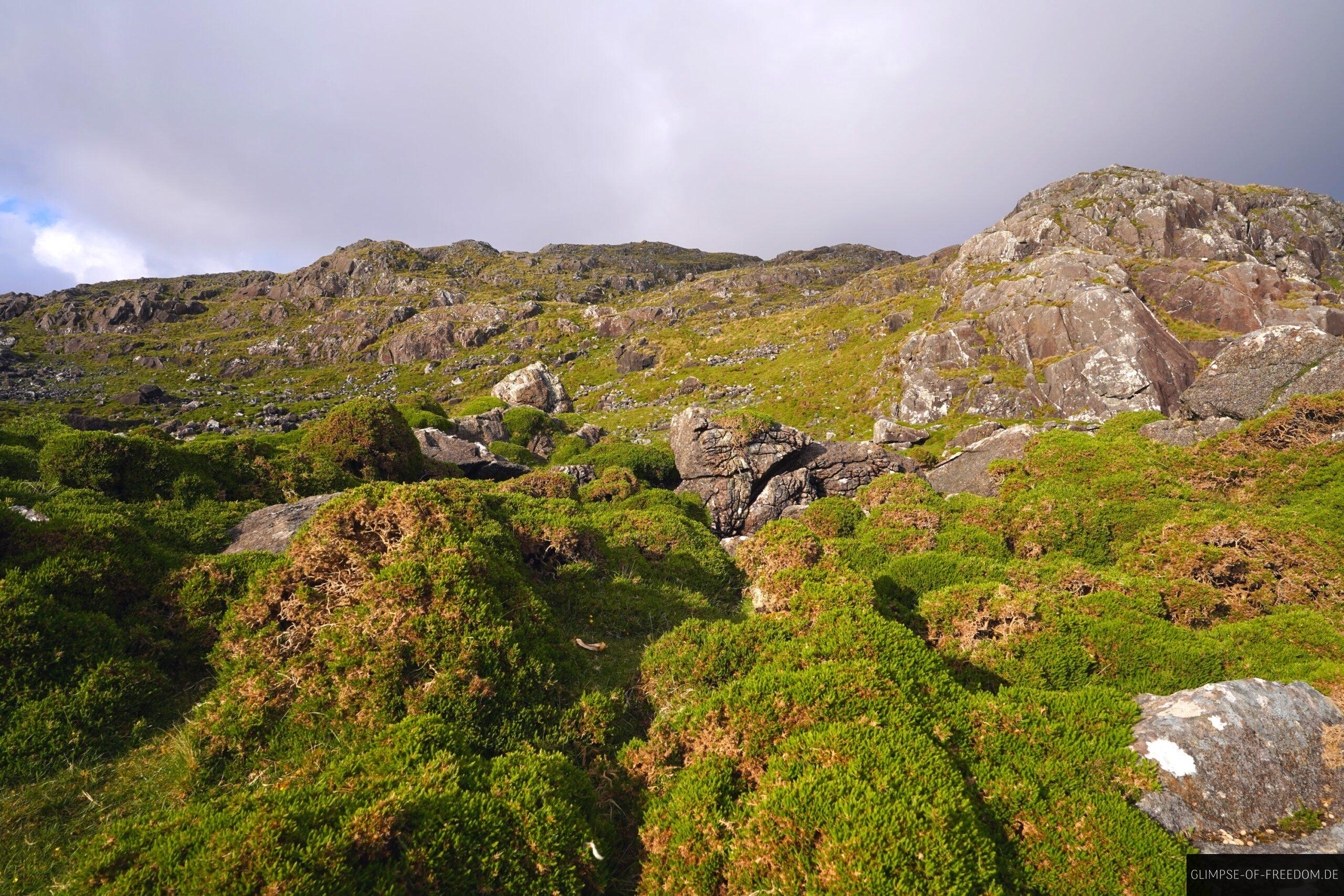 Wellenartige Umgebung am Errisbeg scaled Wellenartige Umgebung am Errisbeg