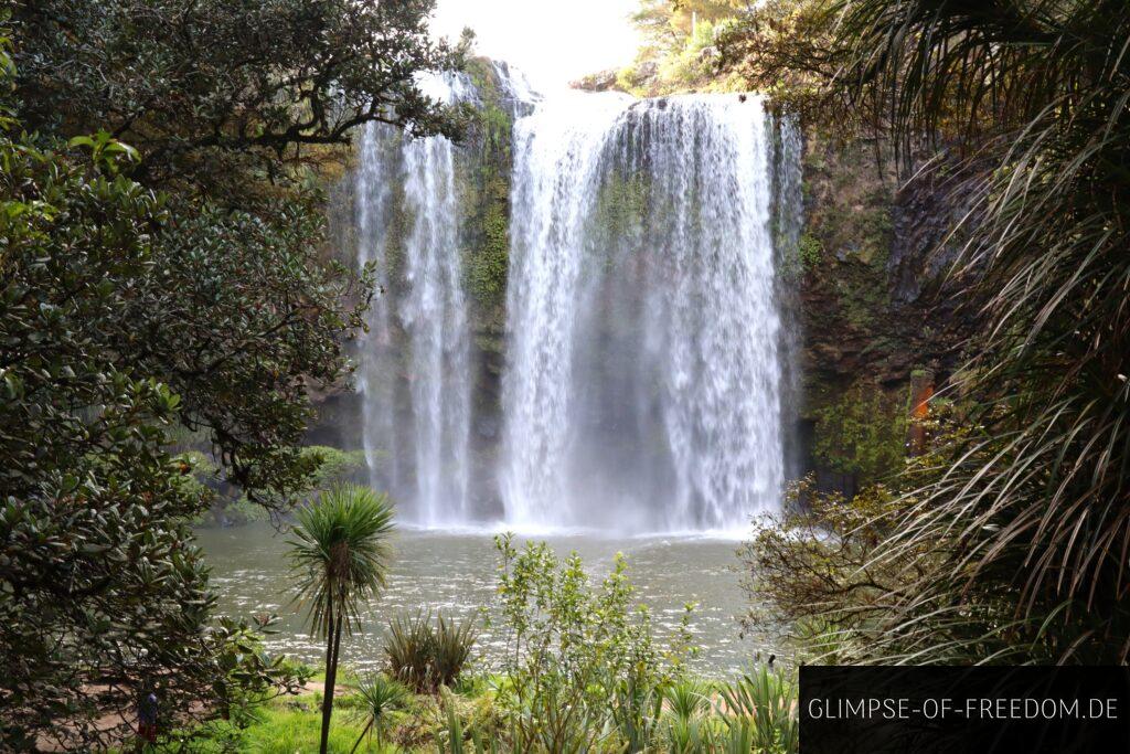 Whangarei Falls