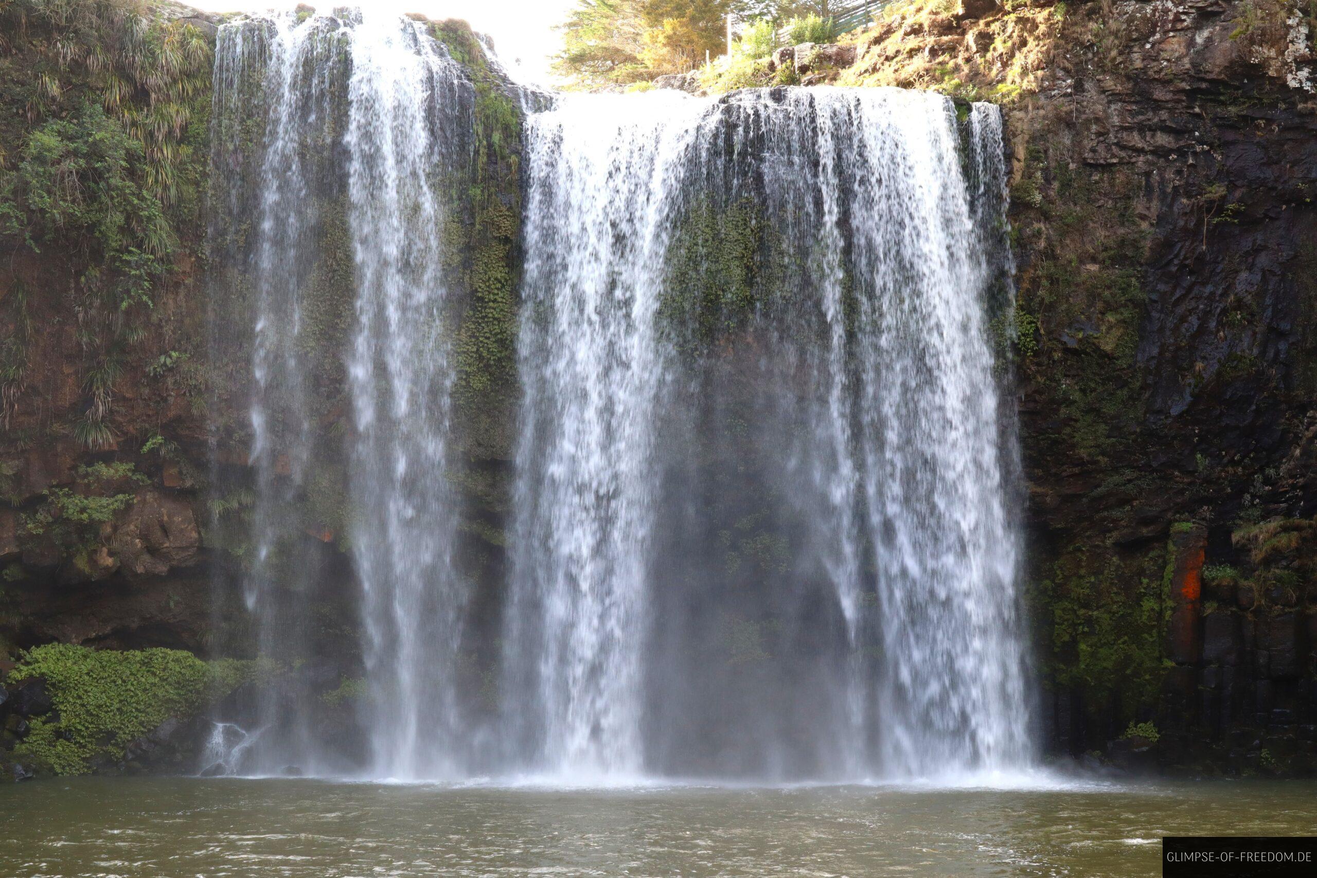 Whangarei Falls Neuseeland scaled Whangarei Falls Neuseeland