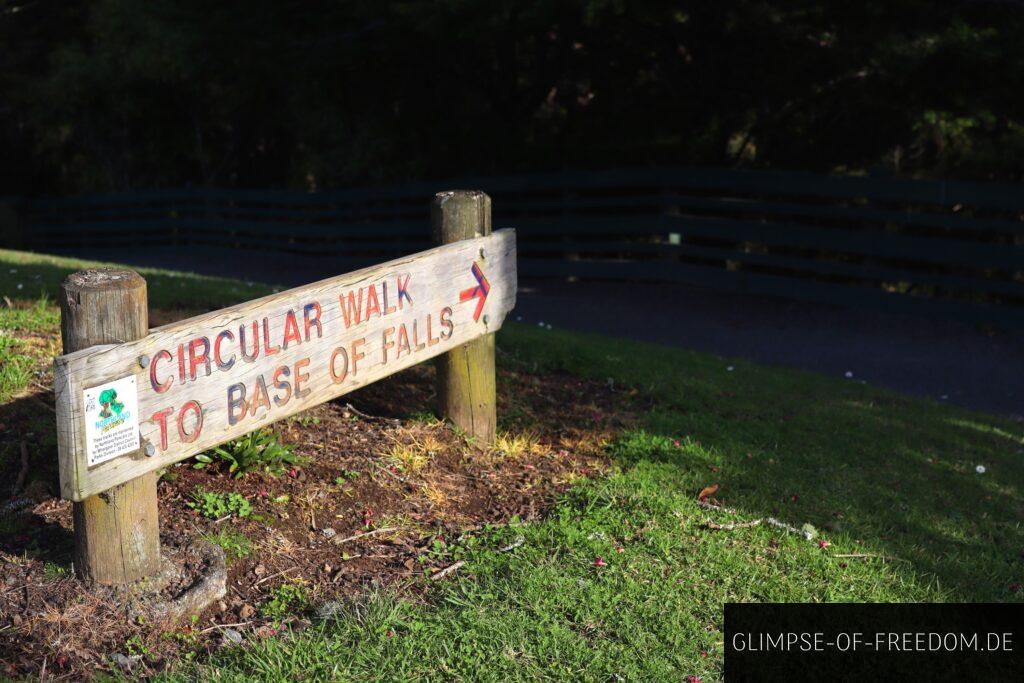 Whangarei Falls Wanderung