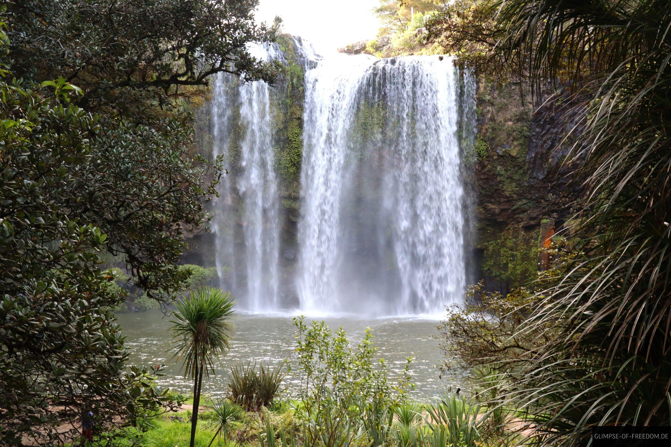 Whangarei Falls scaled Whangarei Falls