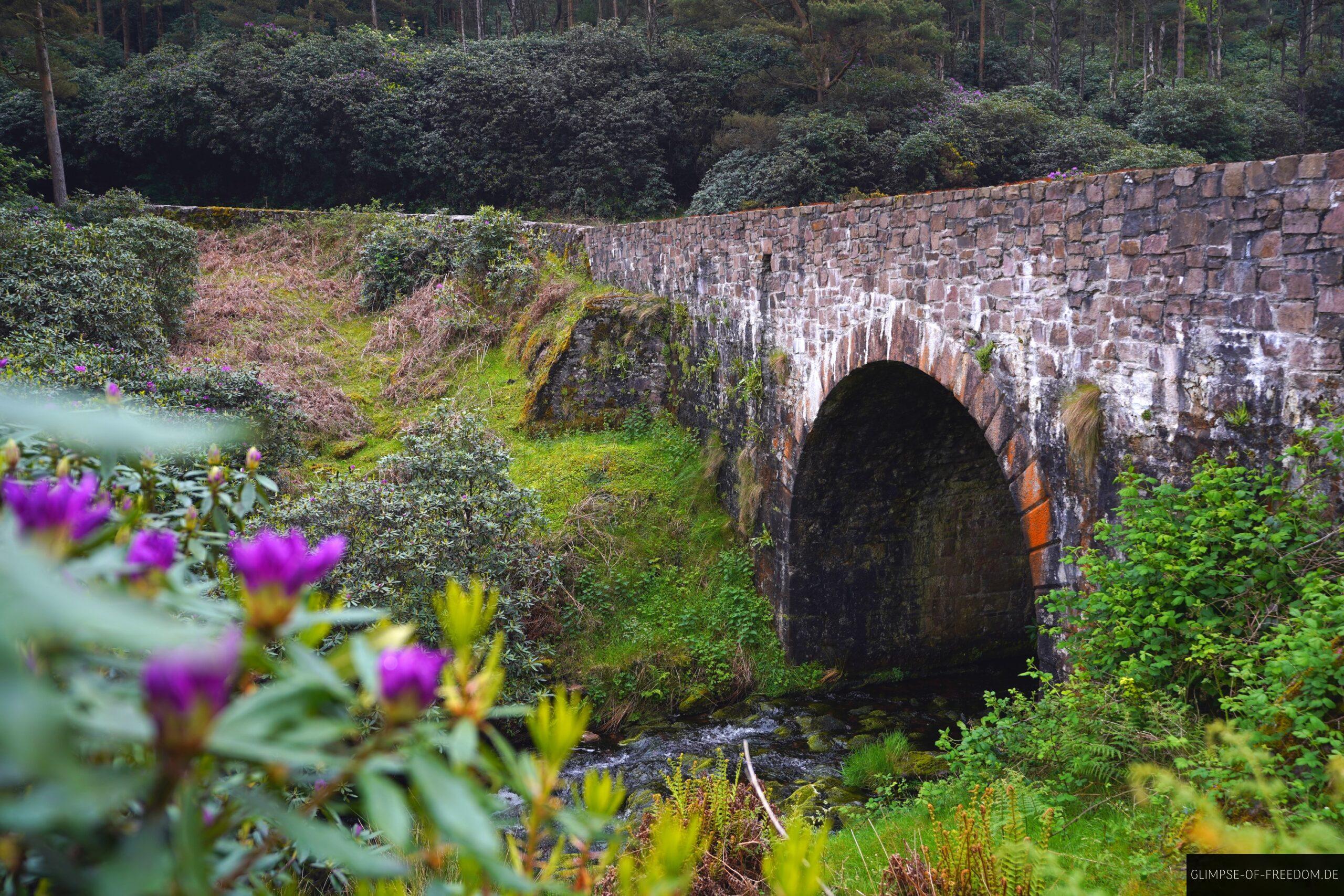 Whitewall Bridge scaled Whitewall Bridge