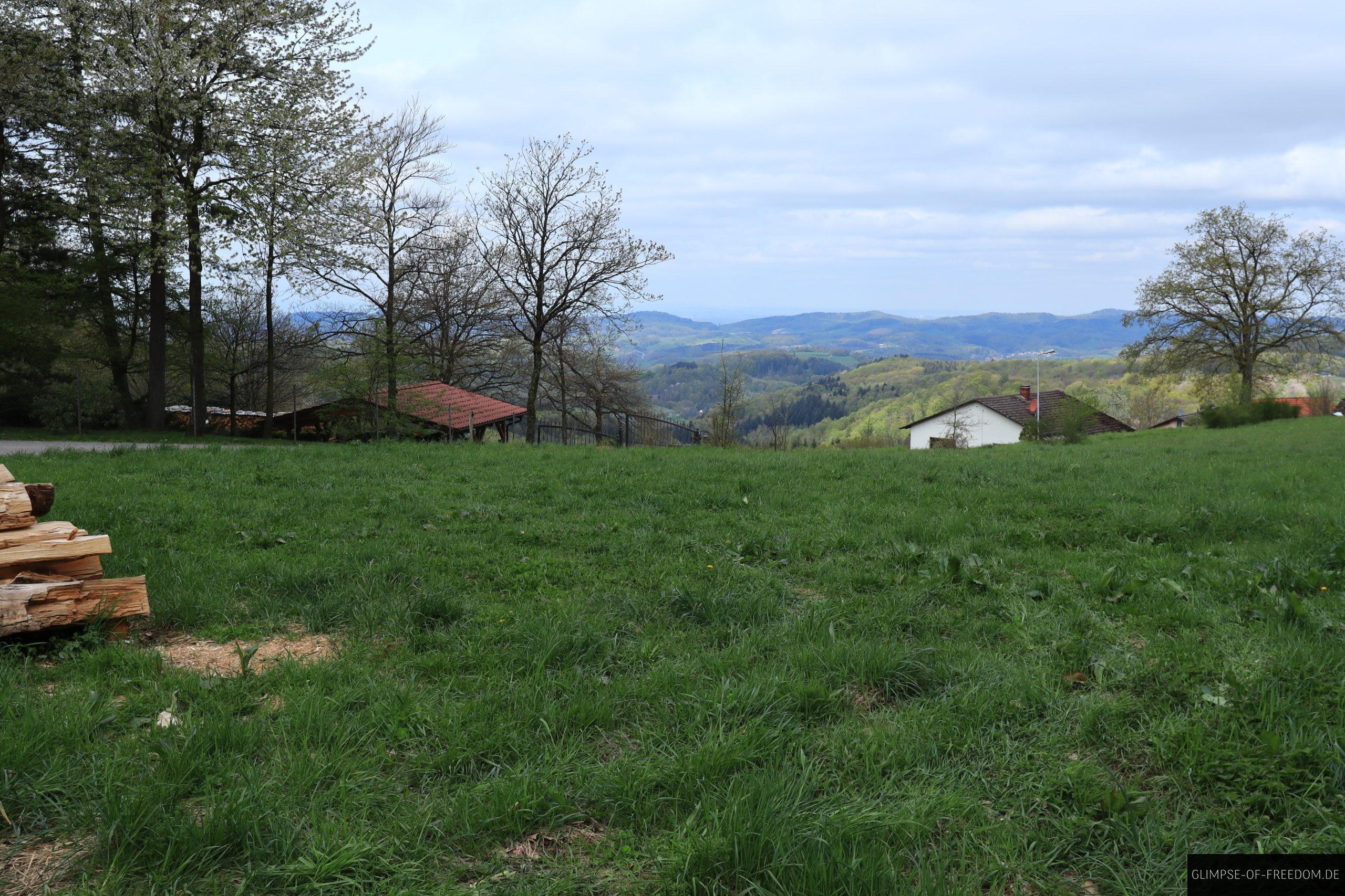 Wiese mit Ausblick scaled Wiese mit Ausblick
