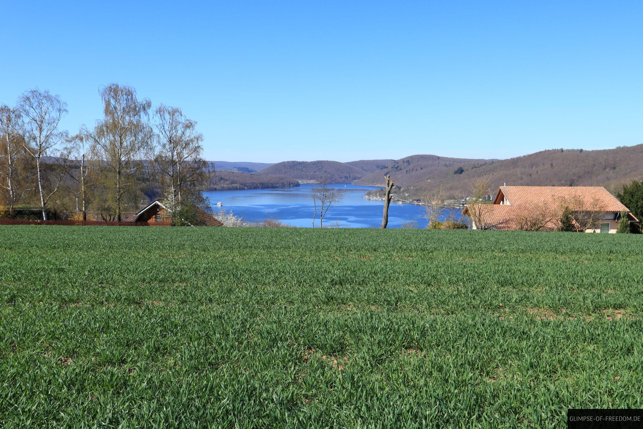 Wiese vor Waldeck mit Blick auf den See scaled Wiese vor Waldeck mit Blick auf den See