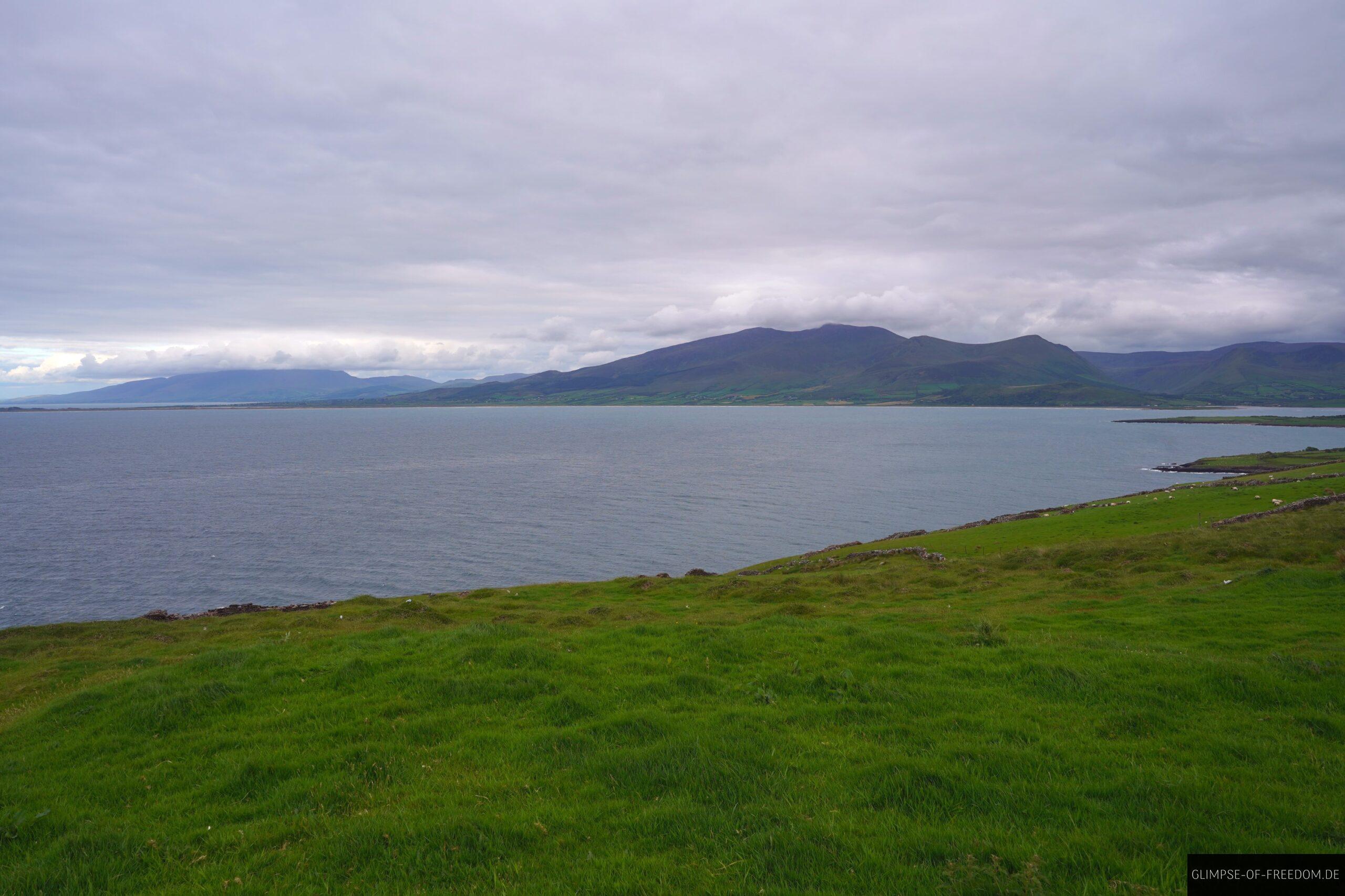 Wiesen am Brandon Point scaled Wiesen am Brandon Point