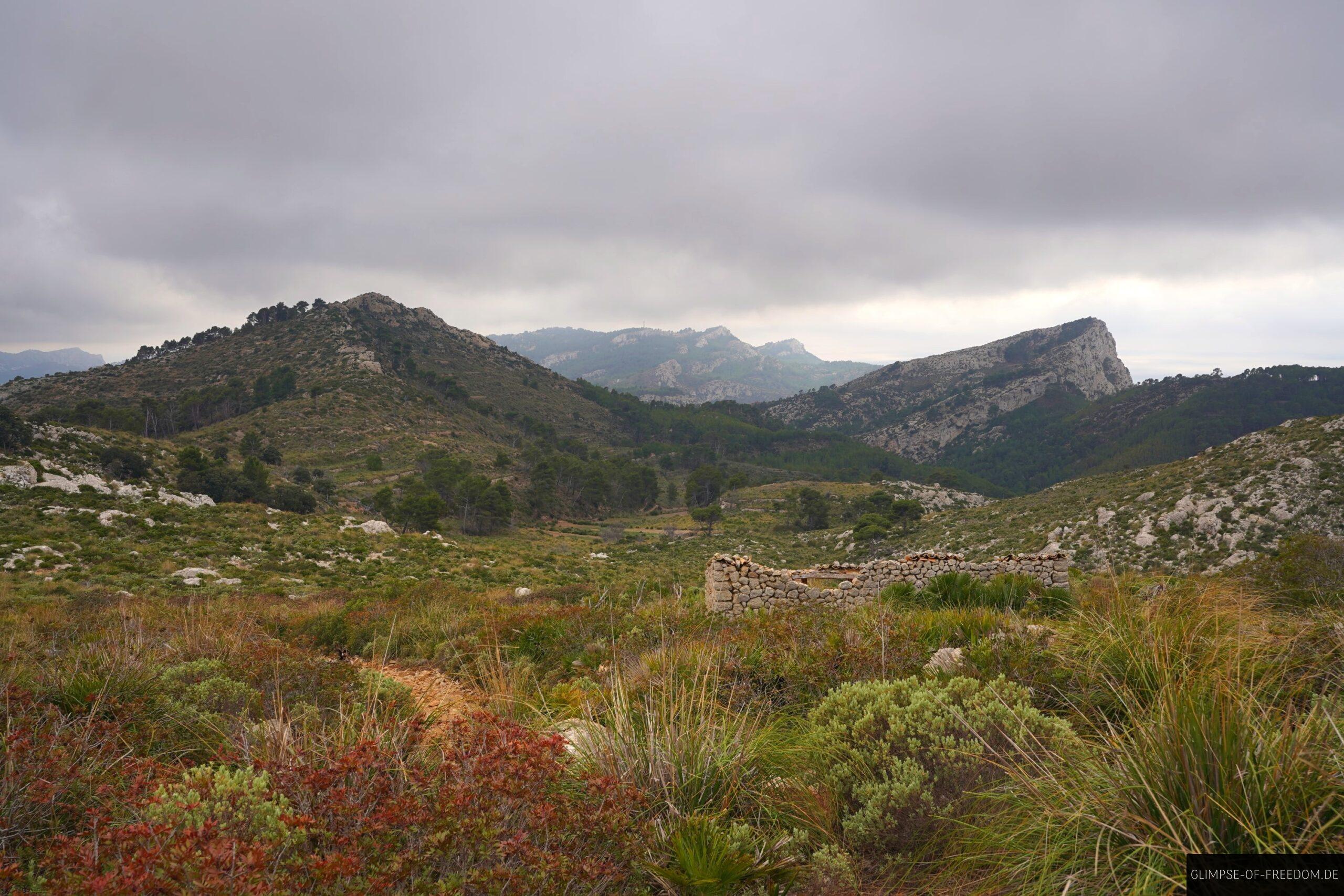 Wilde Natur auf der Insel Mallorca scaled Wilde Natur auf der Insel Mallorca
