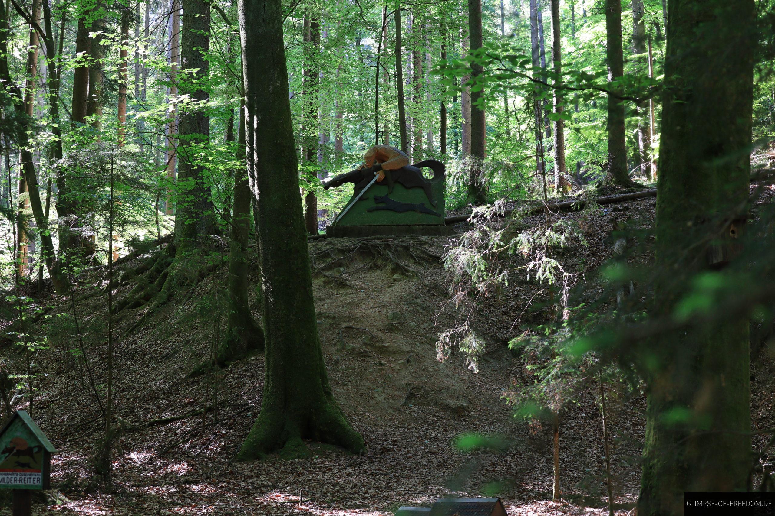 Wilder Reiter in Waldumgebung scaled Wilder Reiter in Waldumgebung