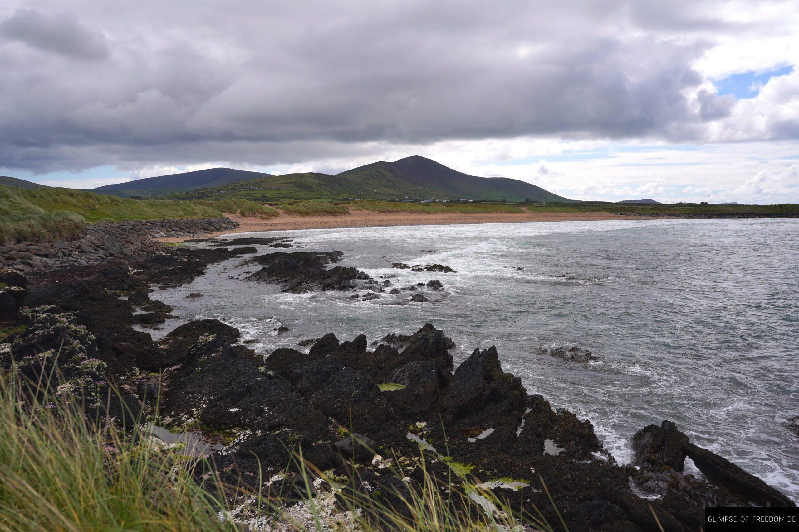 Wine Strand scaled Wine Strand