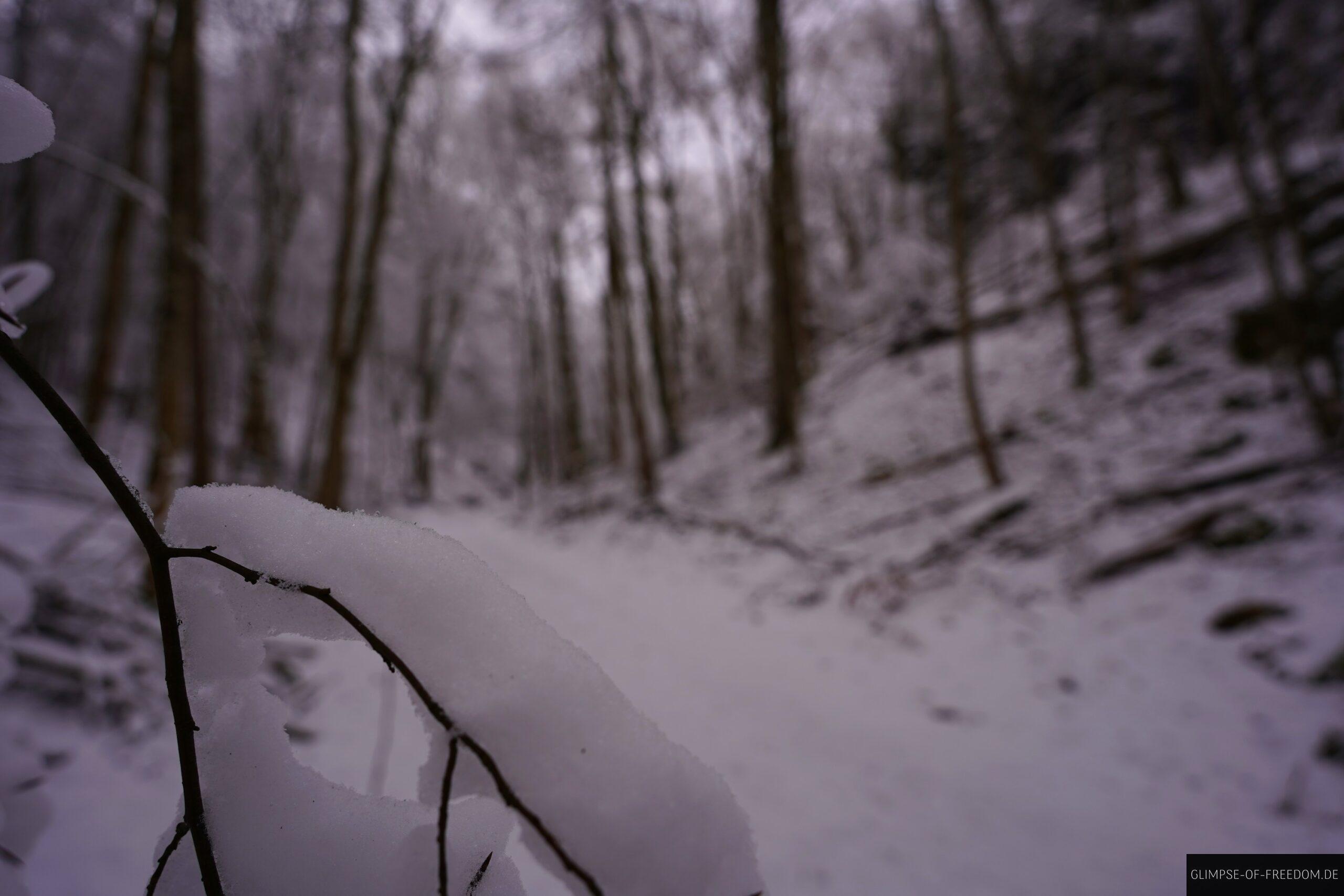 Winterwunderland am Uracher Wasserfall scaled Winterwunderland am Uracher Wasserfall