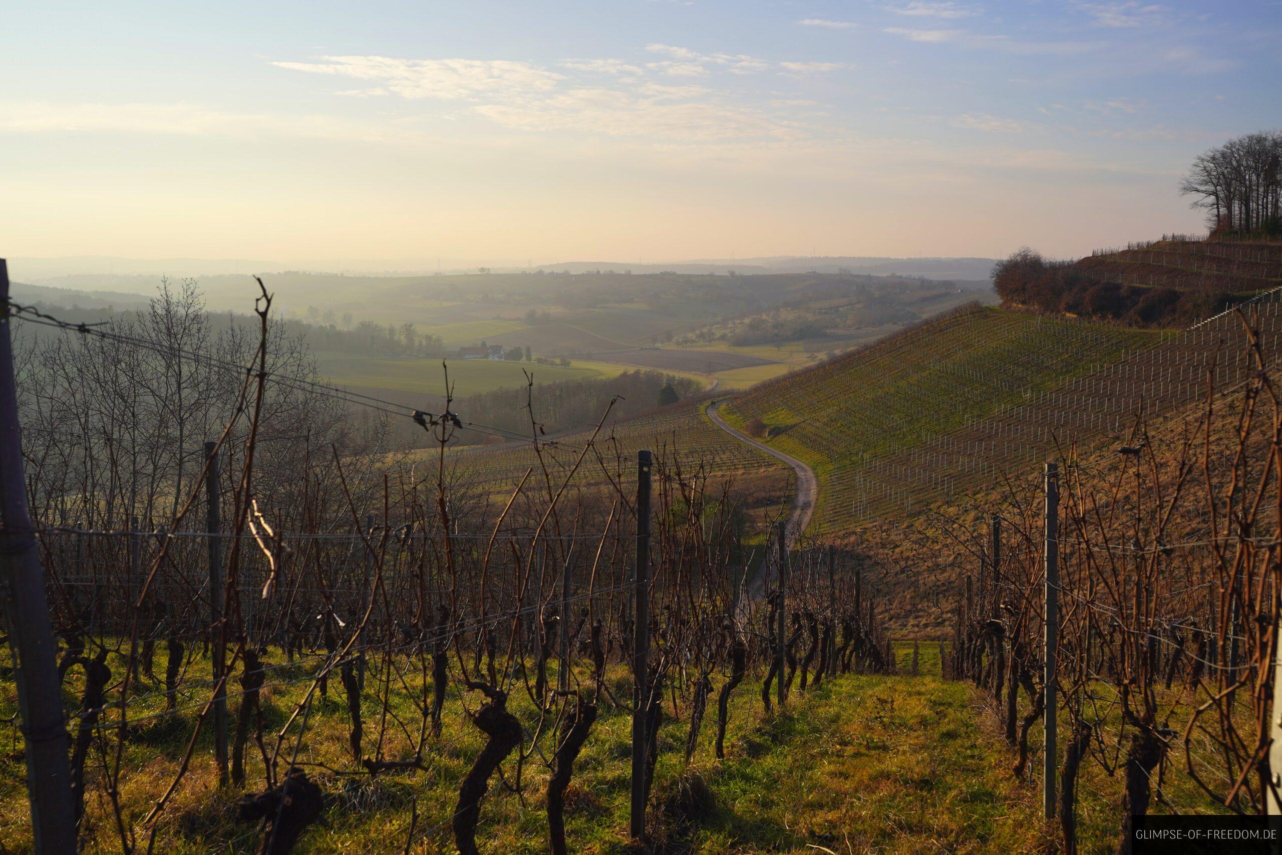 Wunderschoene Aussichten am Derdinger Horn scaled Wunderschöne Aussichten am Derdinger Horn
