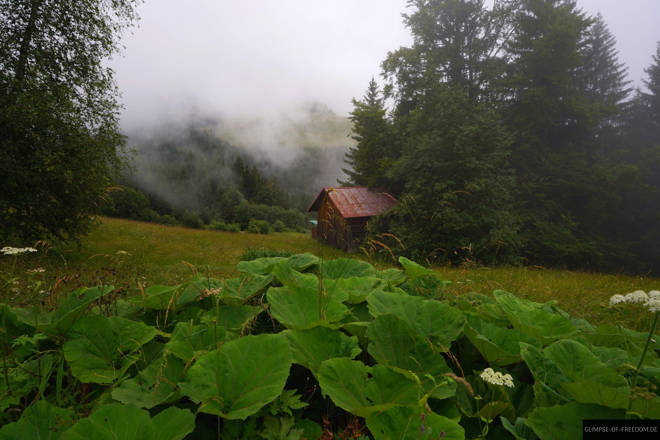 Wunderschoene Natur am Strausberg scaled Wunderschöne Natur am Strausberg