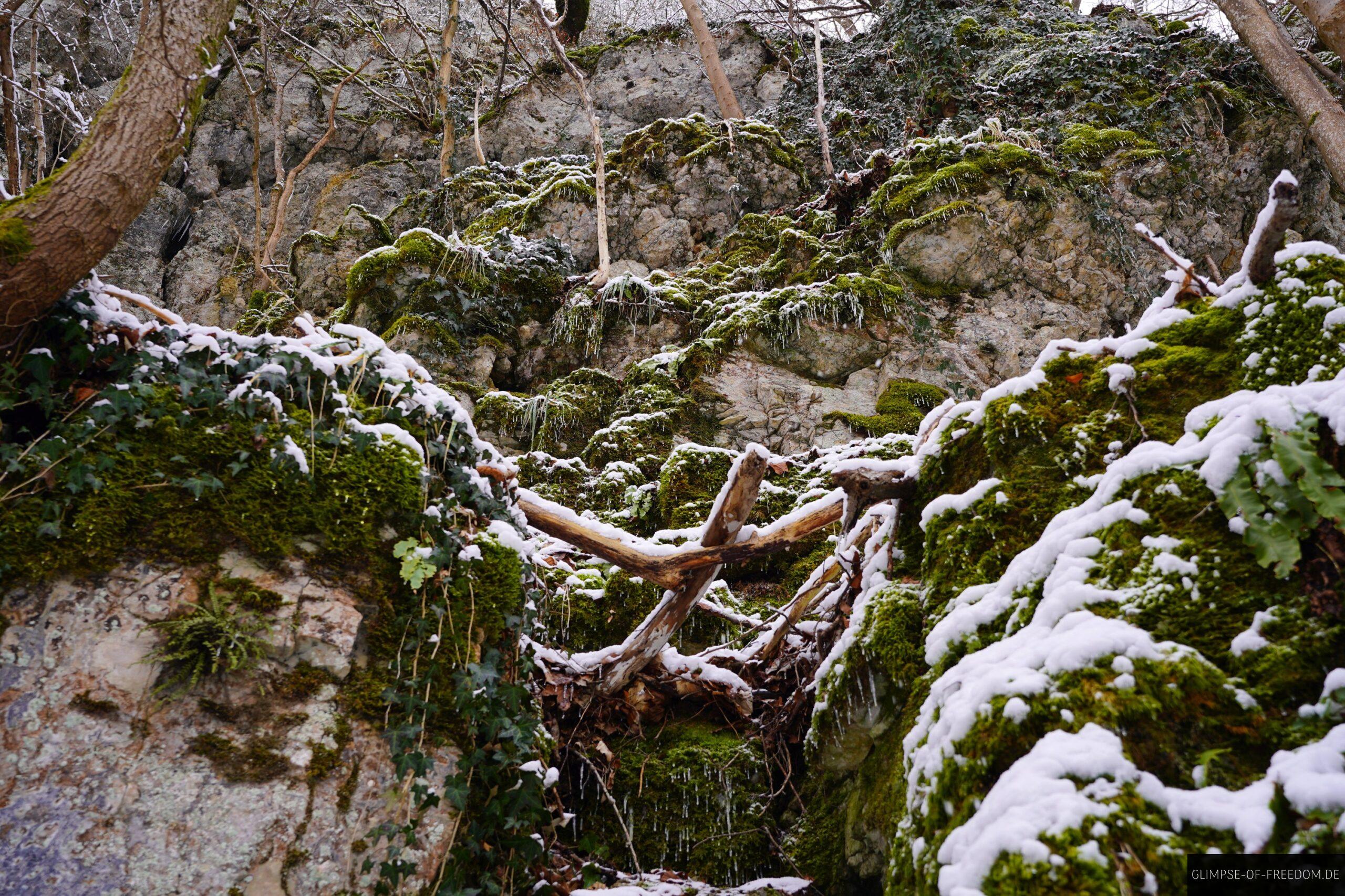 Wunderschoene Natur am Uracher Wasserfall scaled Wunderschöne Natur am Uracher Wasserfall
