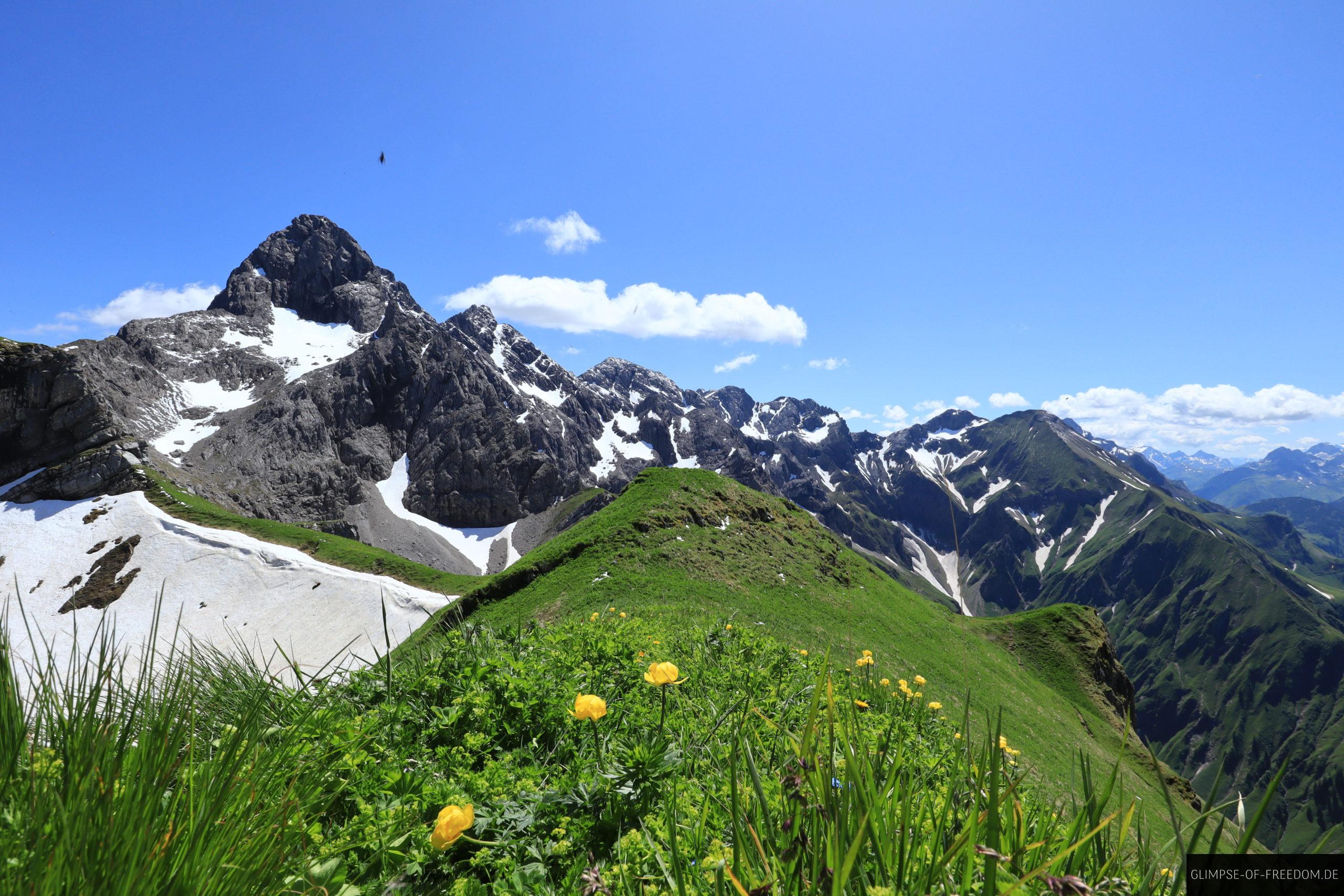 Wunderschoene Natur auf dem Gipfel des Wildengundkopfs scaled Wunderschöne Natur auf dem Gipfel des Wildengundkopfs