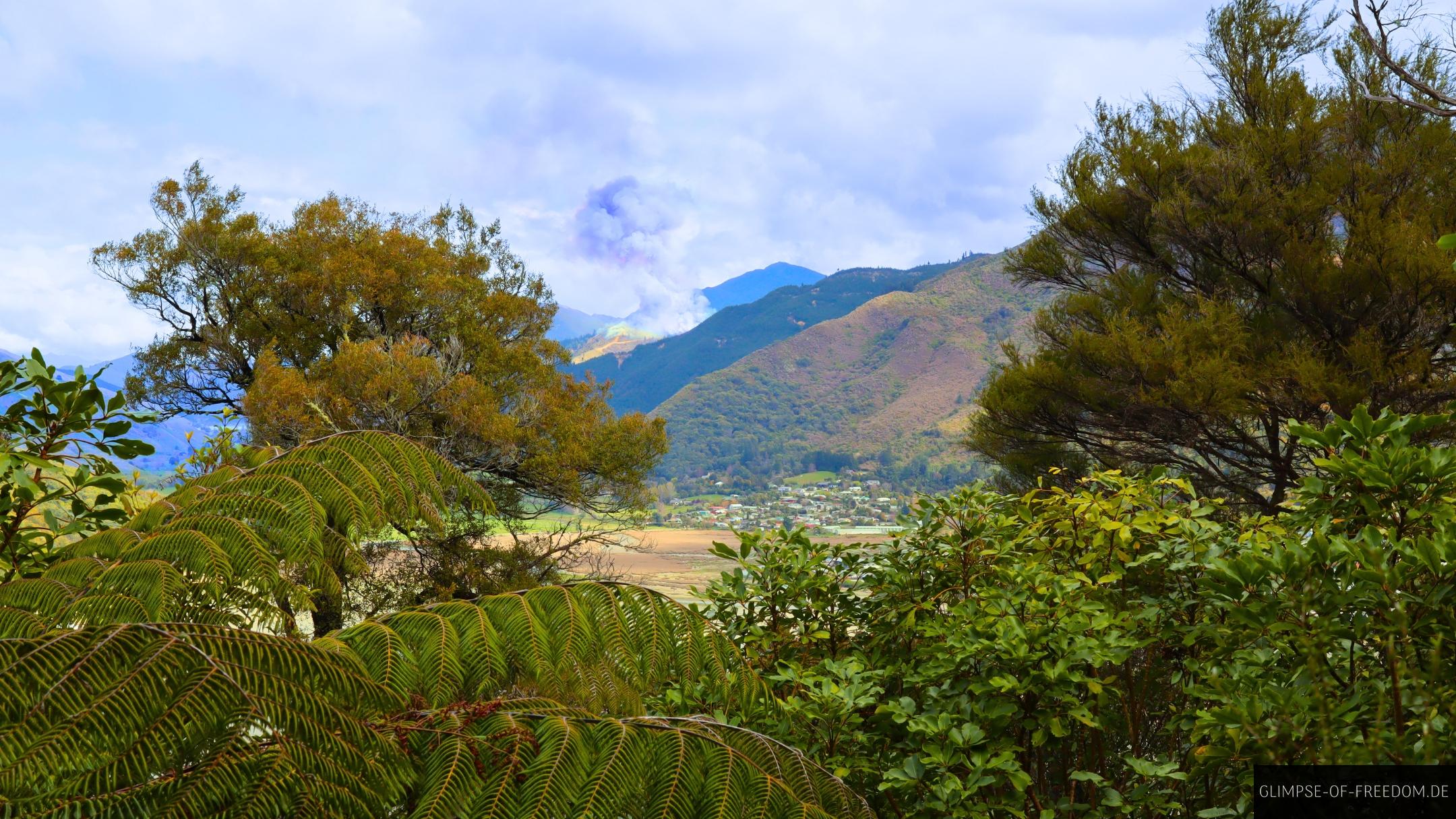 Wunderschoene Natur auf dem Queen Charlotte Drive Wunderschöne Natur auf dem Queen Charlotte Drive