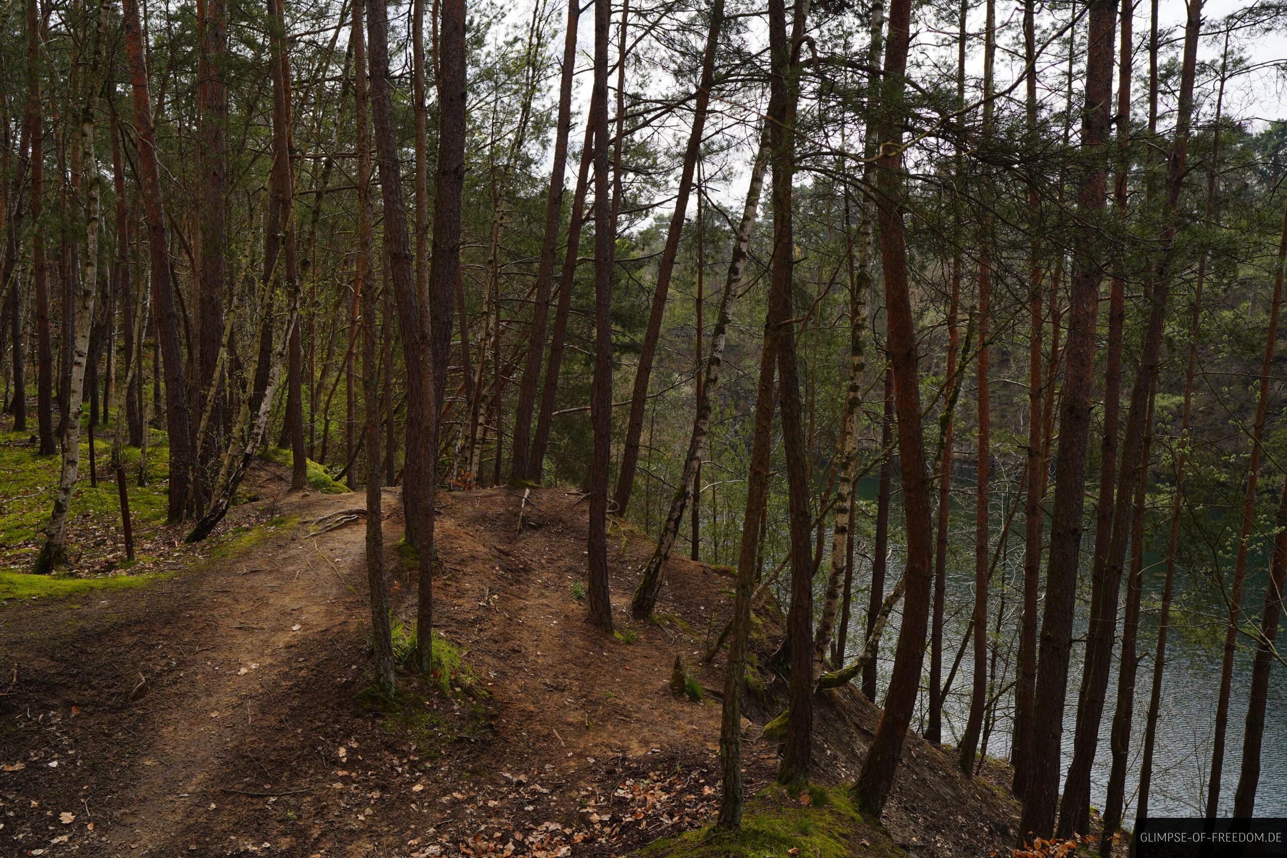 Wunderschoene Wanderwege am See scaled Wunderschöne Wanderwege am See