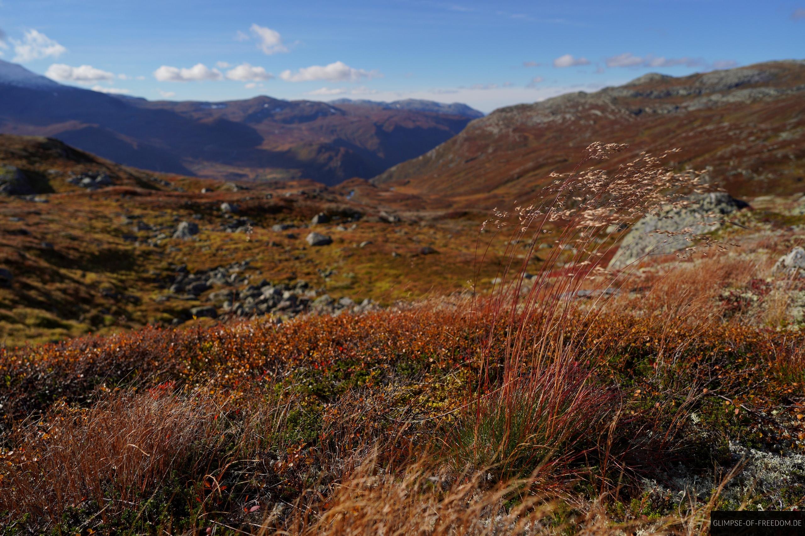 Wunderschoene norwegische Bergnatur Wunderschöne norwegische Bergnatur