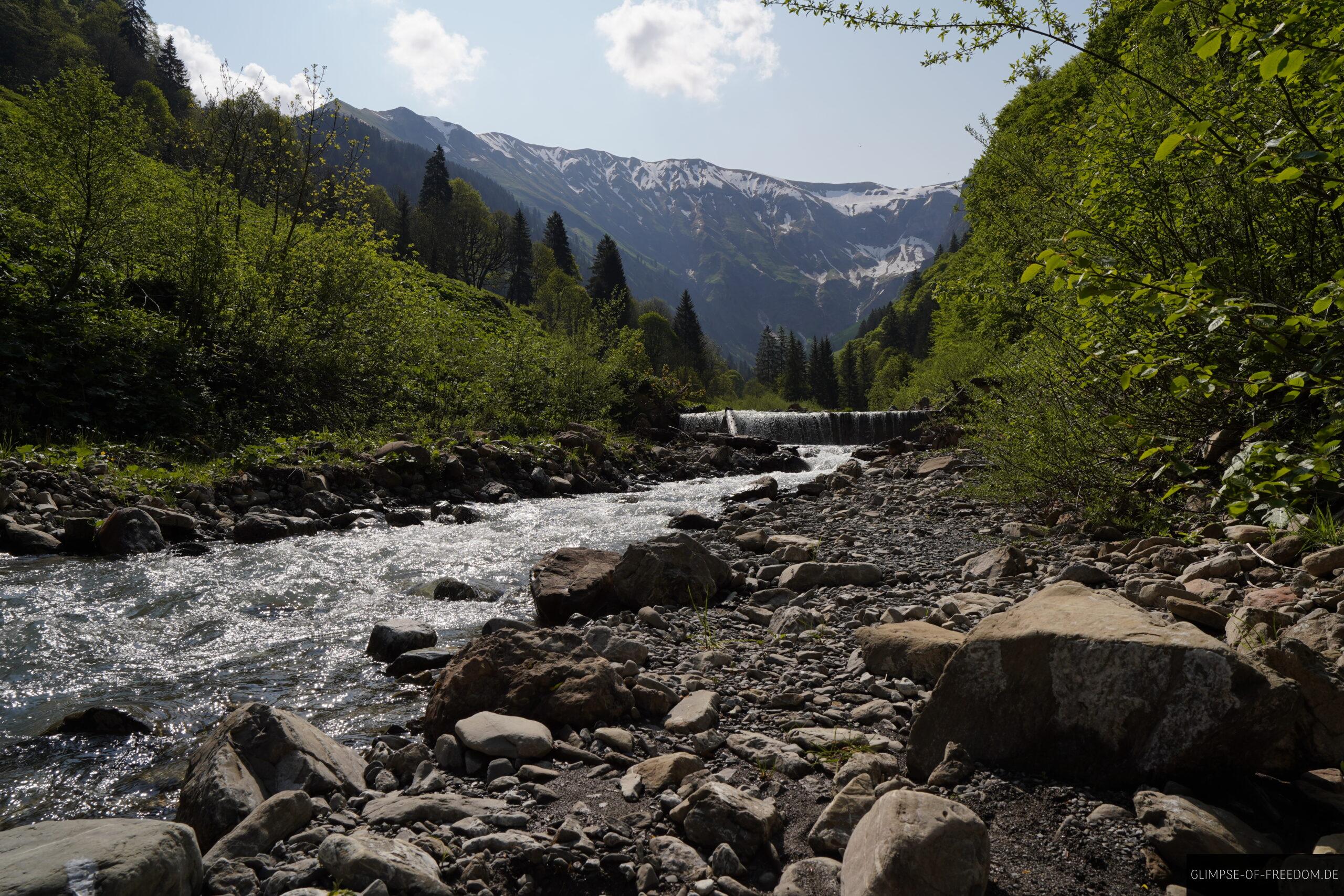 Wunderschoener Backlauf im Allgaeu am Kegelkopf scaled Wunderschöner Backlauf im Allgäu am Kegelkopf