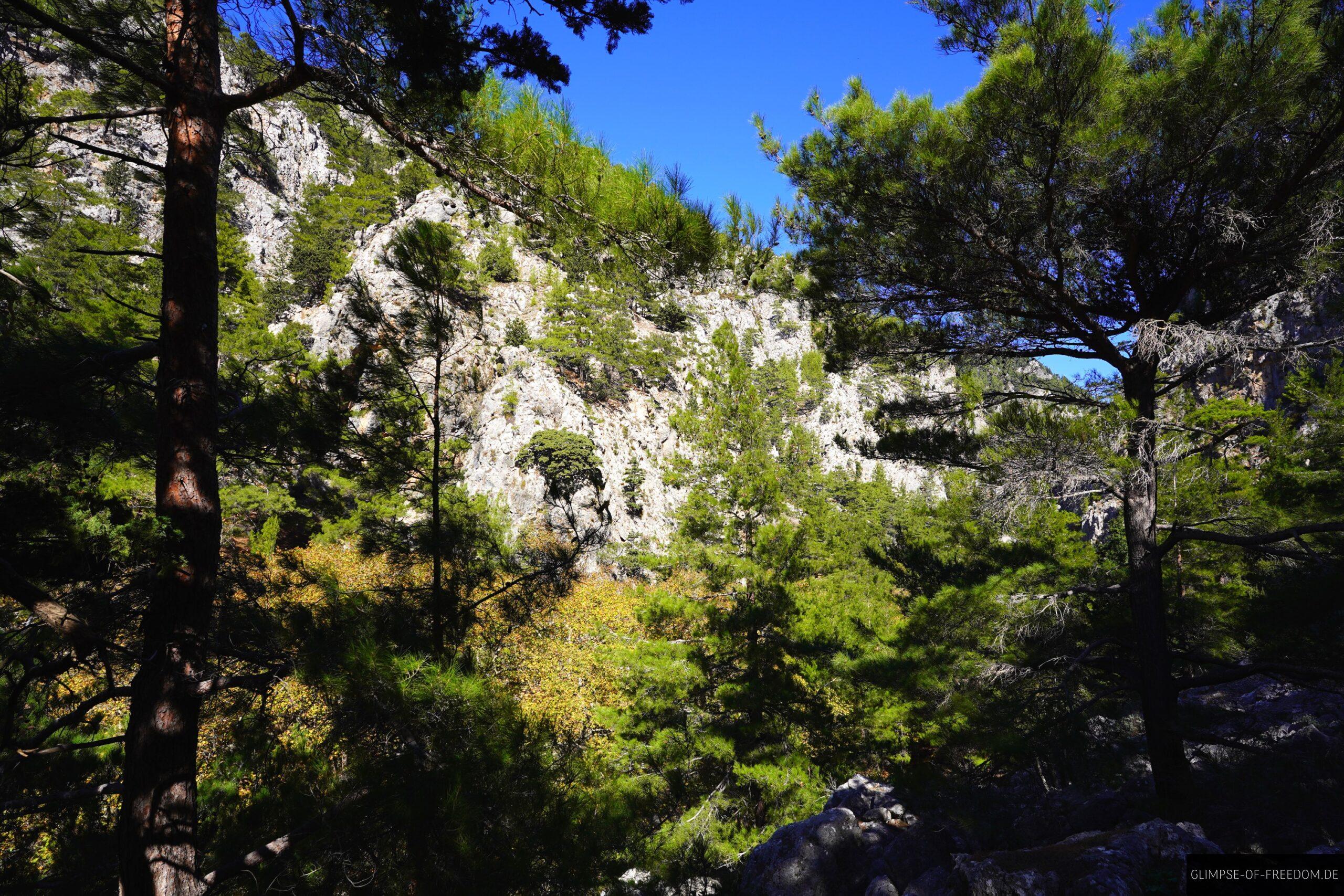 Wunderschoener Kontrast zwischen Felsen und Baeumen scaled Wunderschöner Kontrast zwischen Felsen und Bäumen