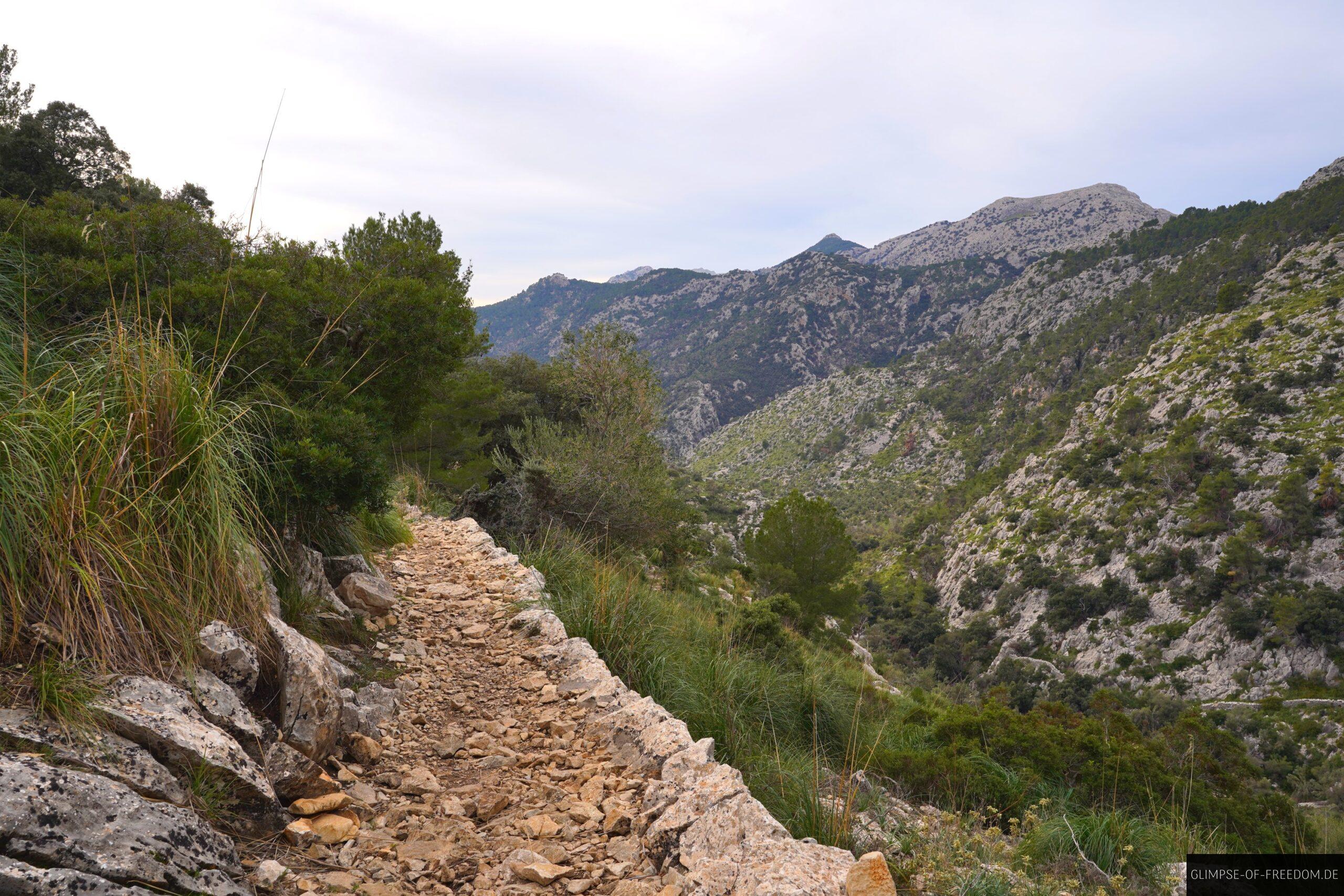 Wunderschoener Pfad auf dem Rueckweg scaled Wunderschöner Pfad auf dem Rückweg