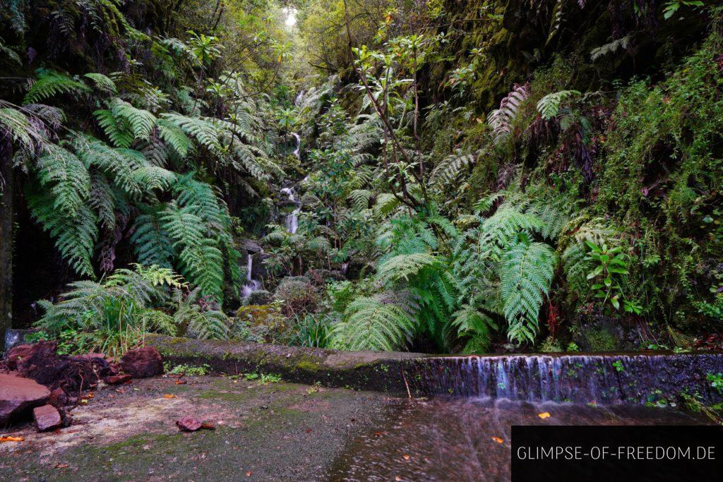Wunderschöner Wasserfall auf der PR17 Madeira Wanderung