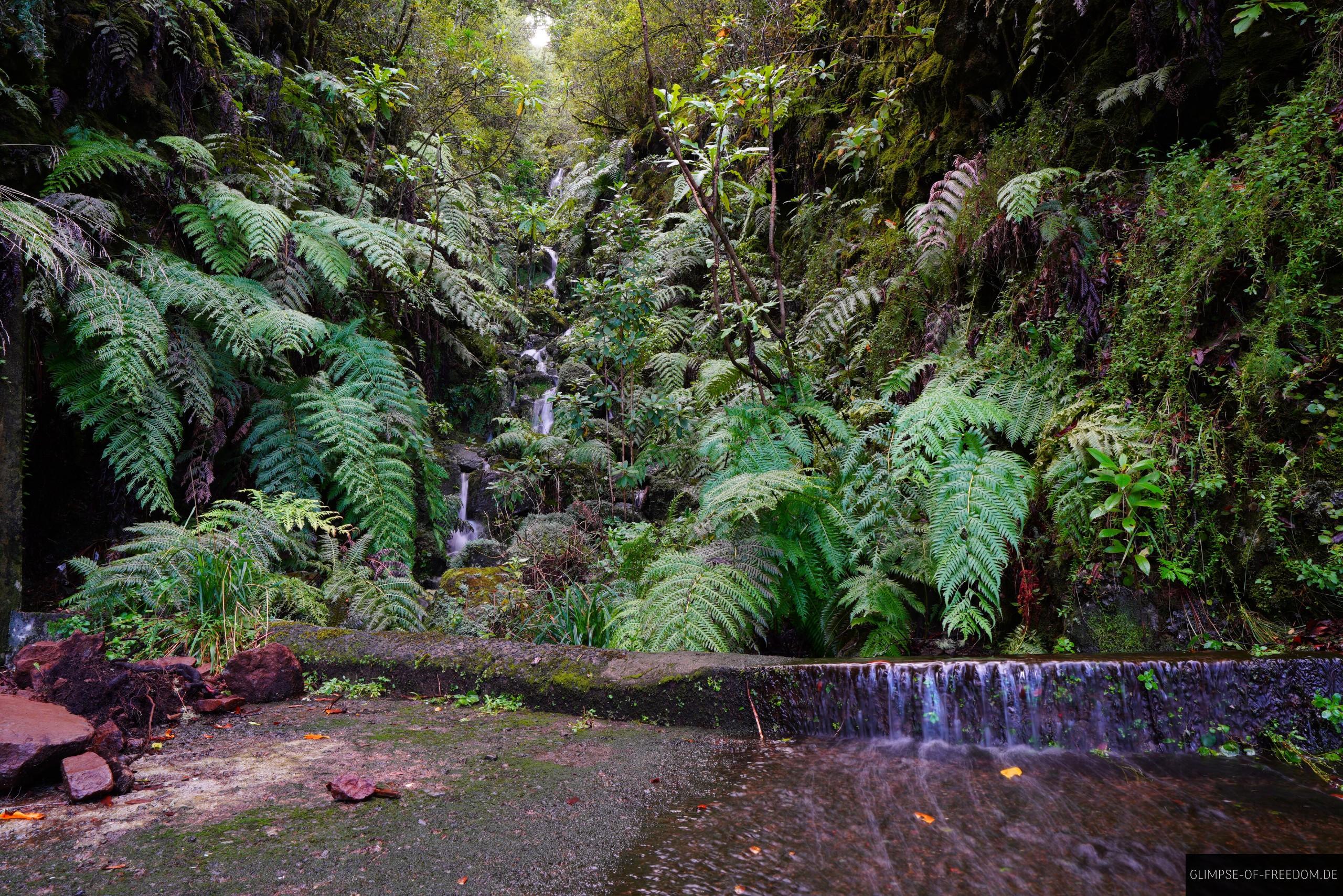 Wunderschoener Wasserfall auf der PR17 Madeira Wanderung Wunderschöner Wasserfall auf der PR17 Madeira Wanderung