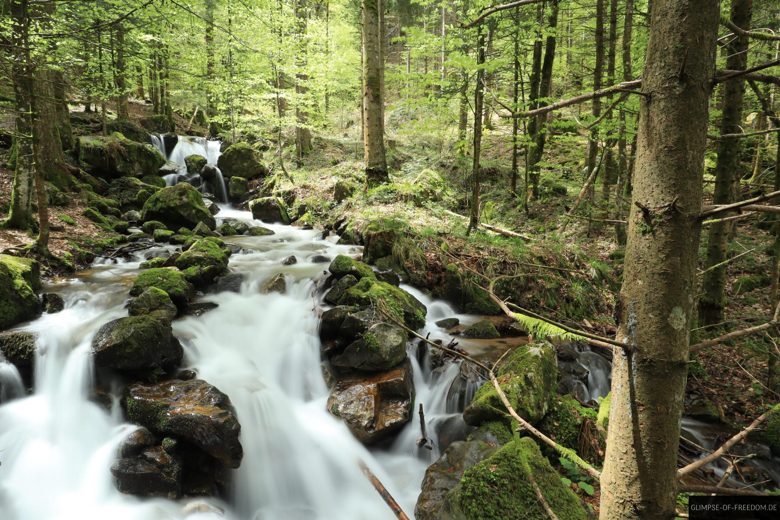 Zastler Eisloecher scaled Zastler Eisloecher