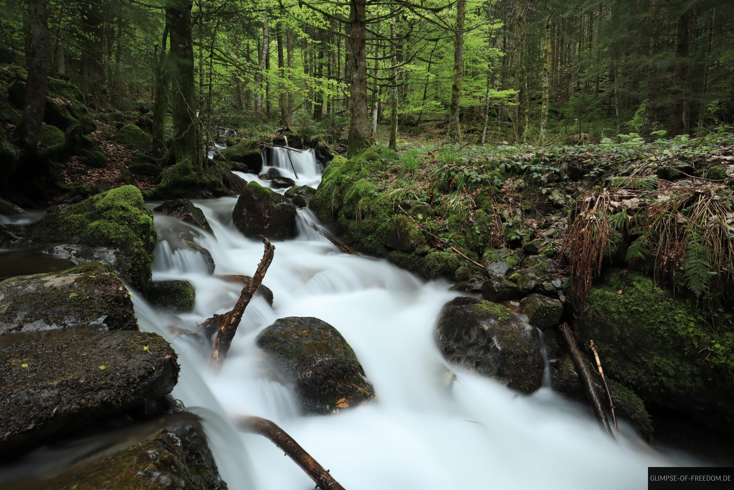 Zastler Wasserfall scaled Zastler Wasserfall