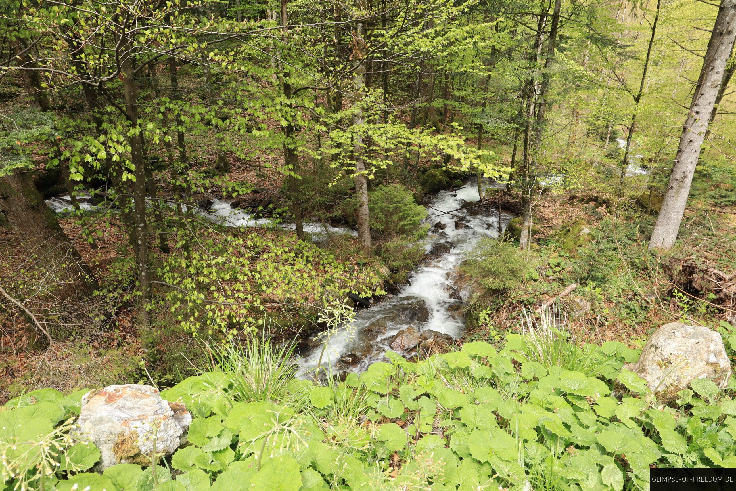 Zastler Wasserspiele am Hinterwaldkopf