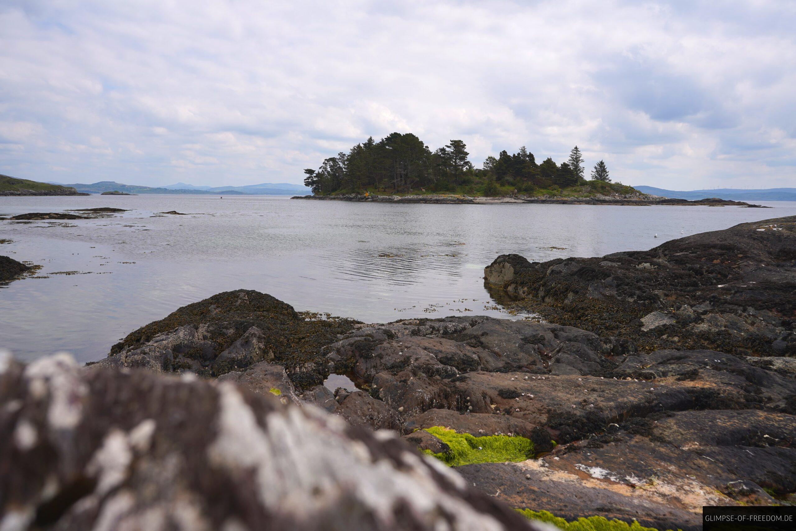 Zetland Pier scaled Zetland Pier