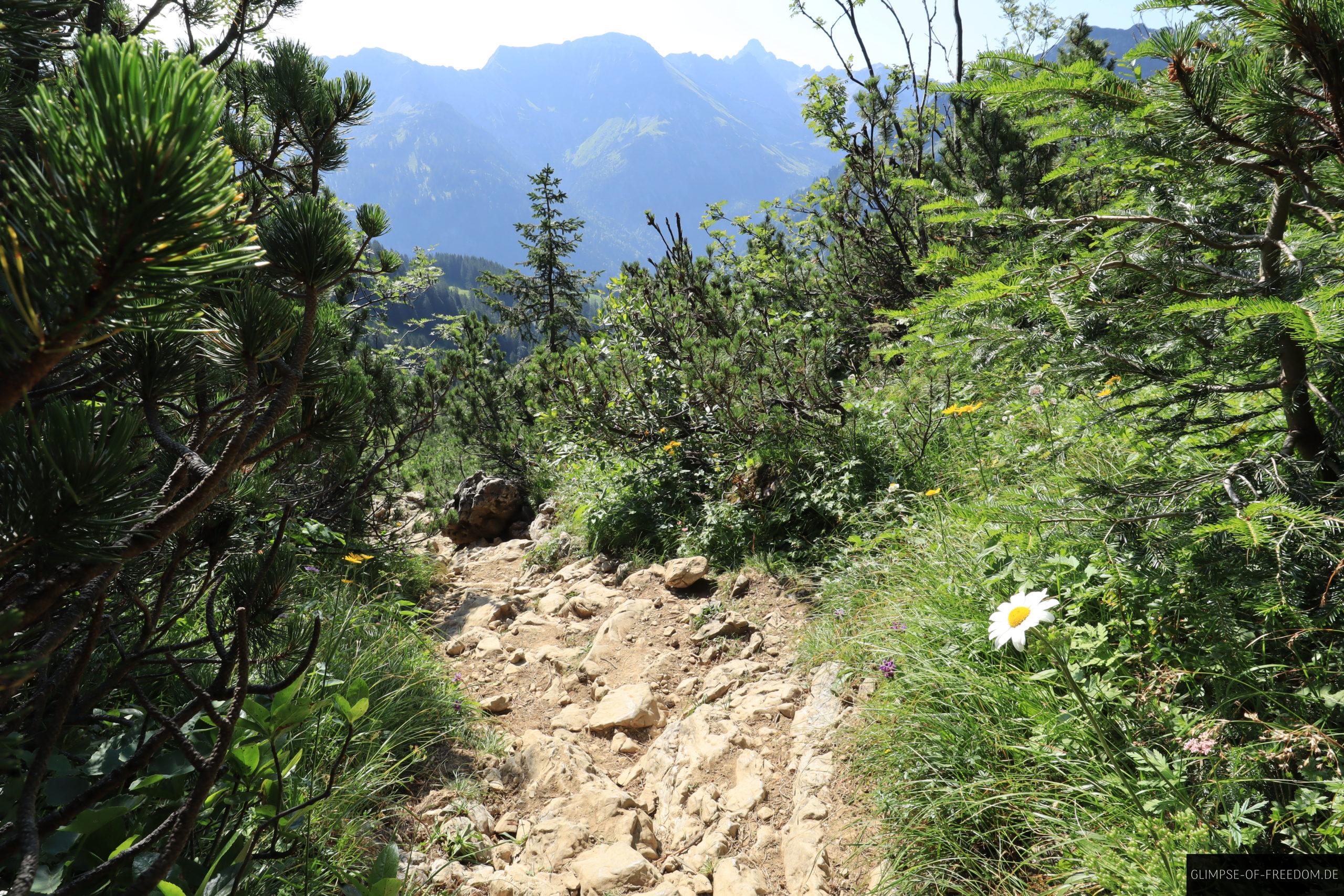 Zum Engeratsgundsee ueber Stock und Stein scaled Zum Engeratsgundsee über Stock und Stein