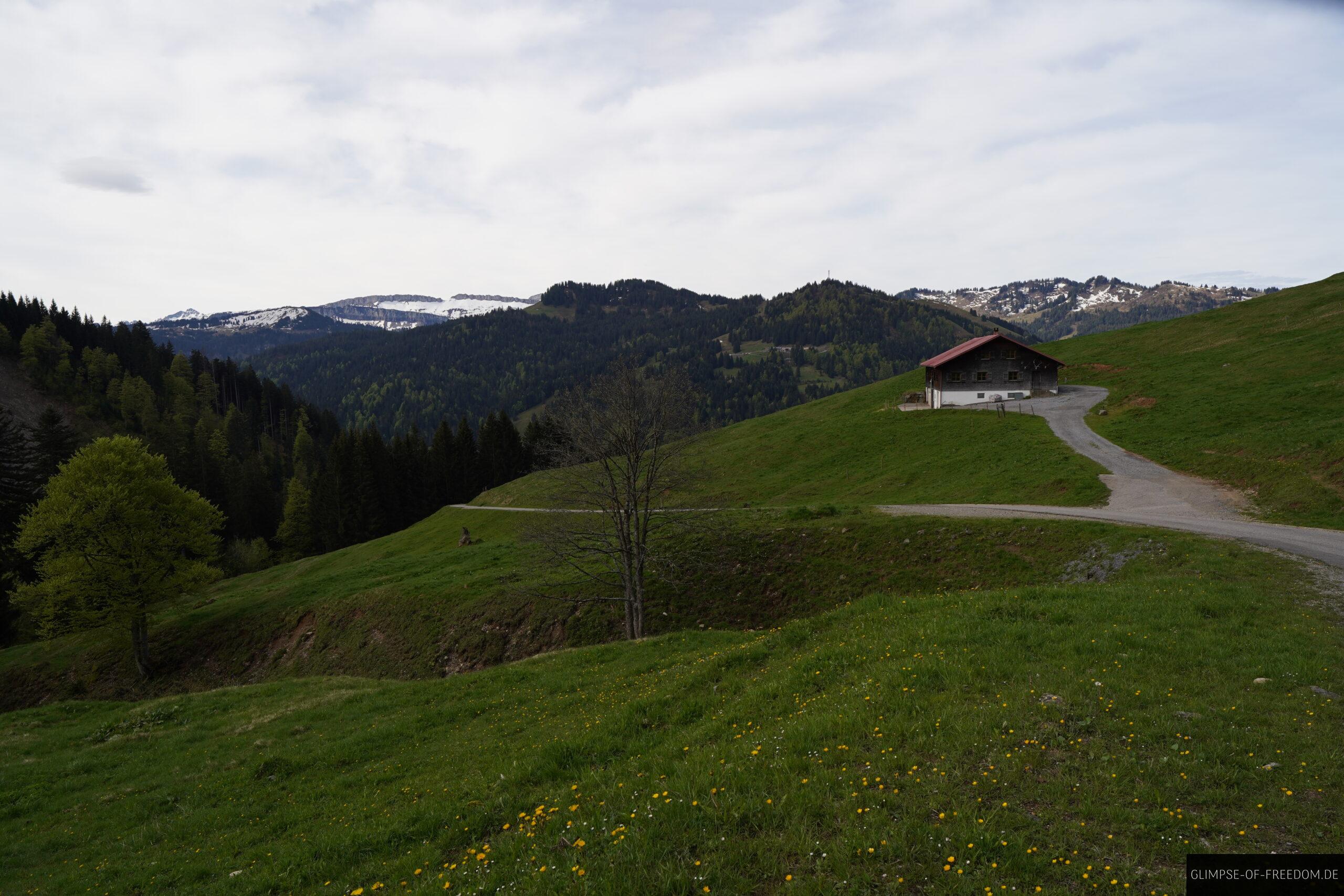 Zum Siplinger Kopf ueber Wiesen scaled Zum Siplinger Kopf über Wiesen