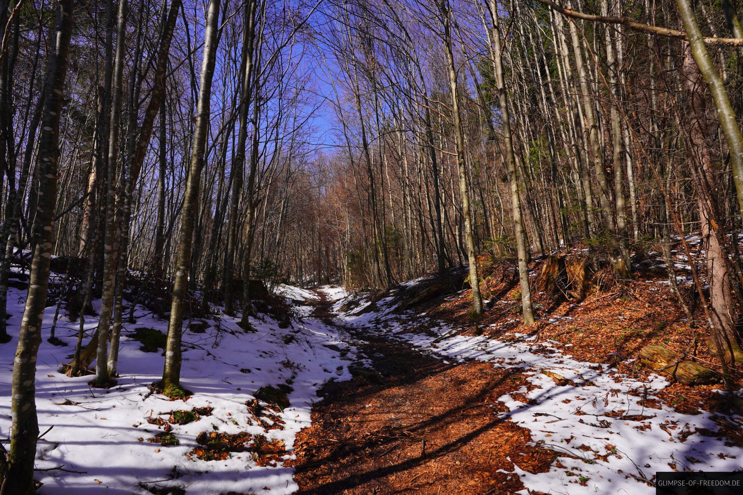 Zwischen laub und Schnee Richtung Gipfel scaled Zwischen laub und Schnee Richtung Gipfel