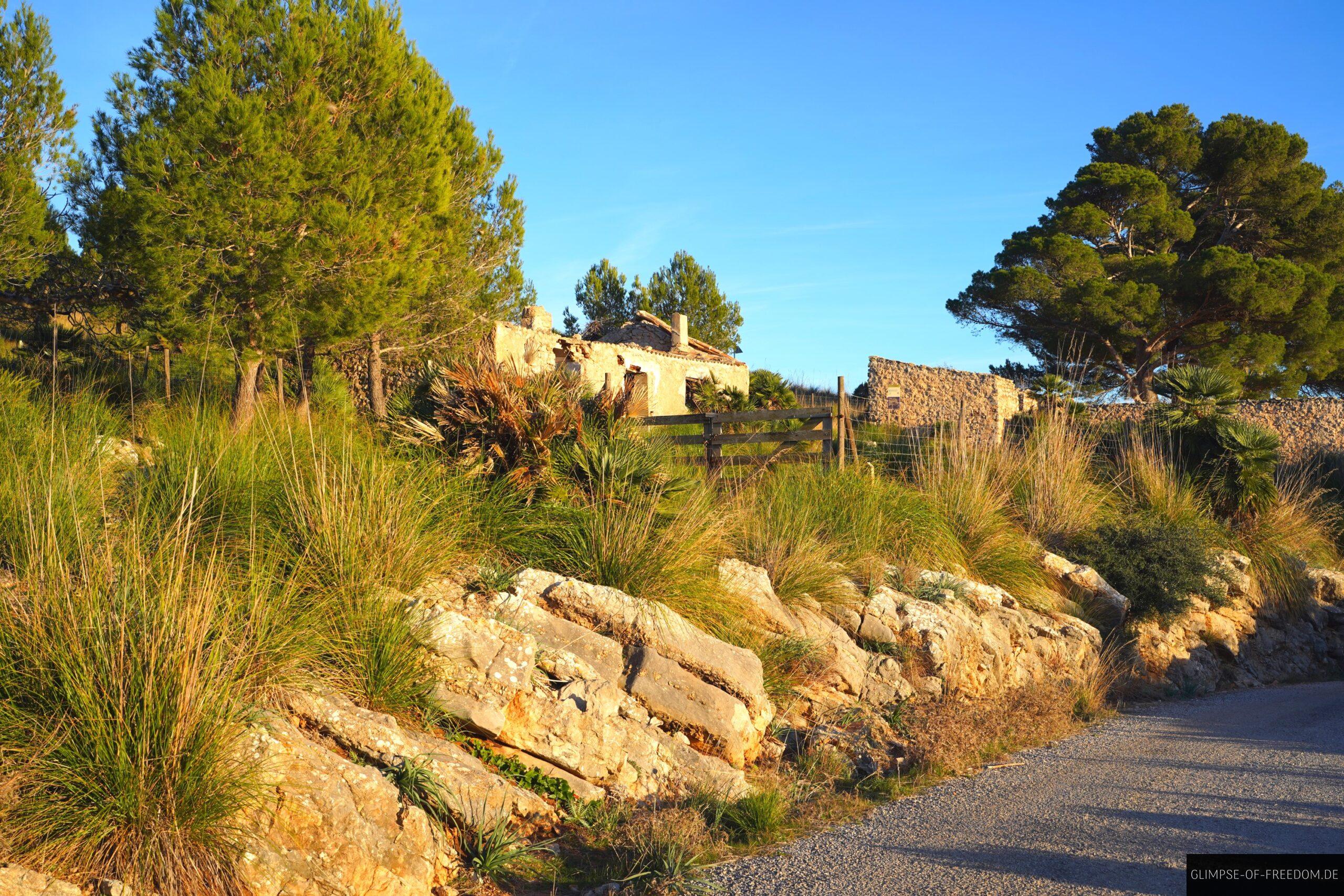 alte Bauwerke im Nautrpark scaled alte Bauwerke im Nautrpark