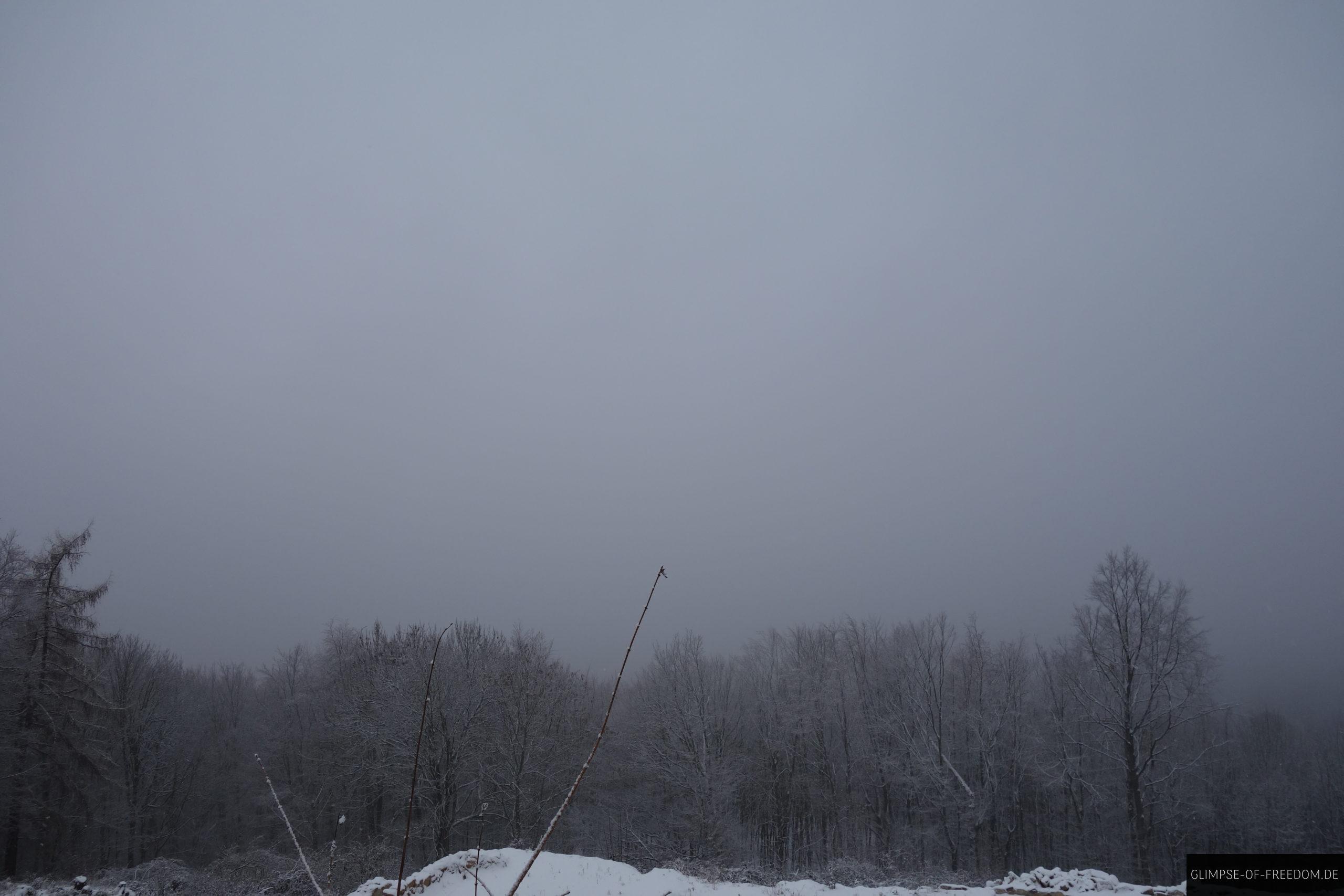 ausblick odenwald nebel scaled