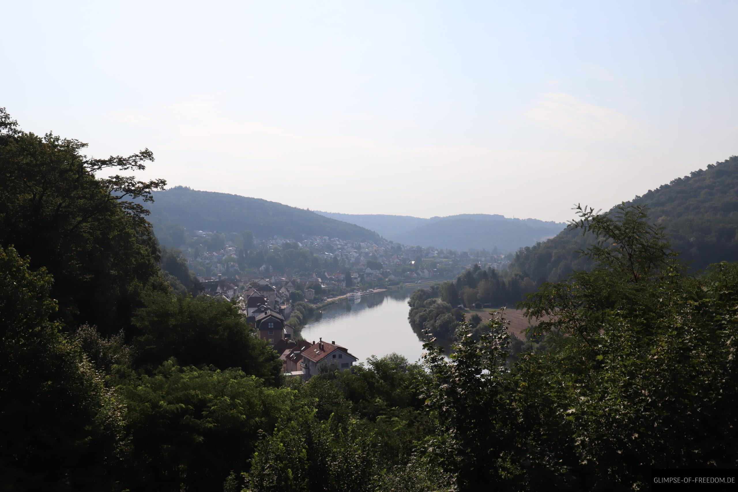 blick auf neckarsteinach von hinterburg scaled 1 blick auf neckarsteinach von hinterburg scaled