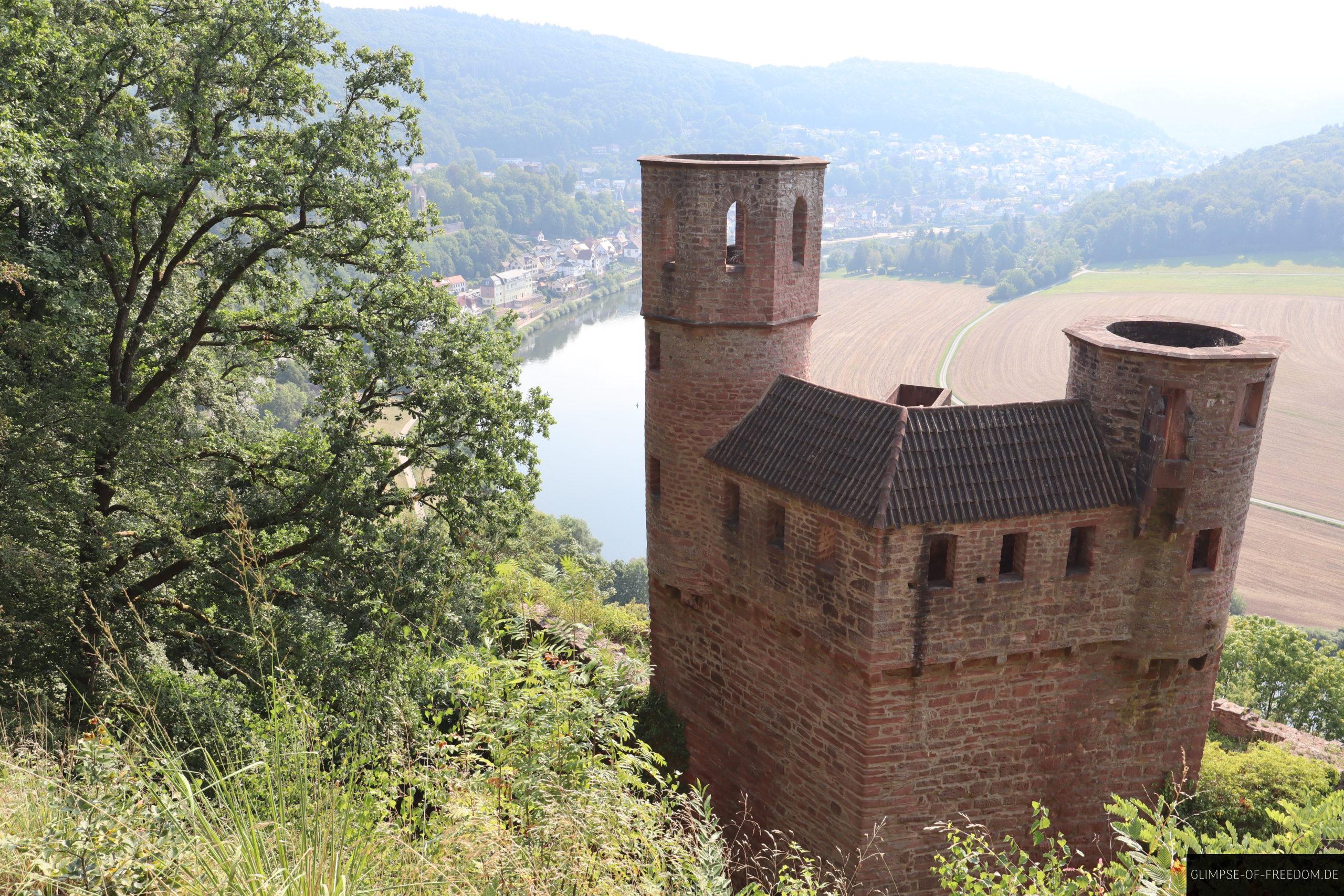 burg schadeck neckarsteinach im hintergrund scaled 1 burg schadeck neckarsteinach im hintergrund scaled