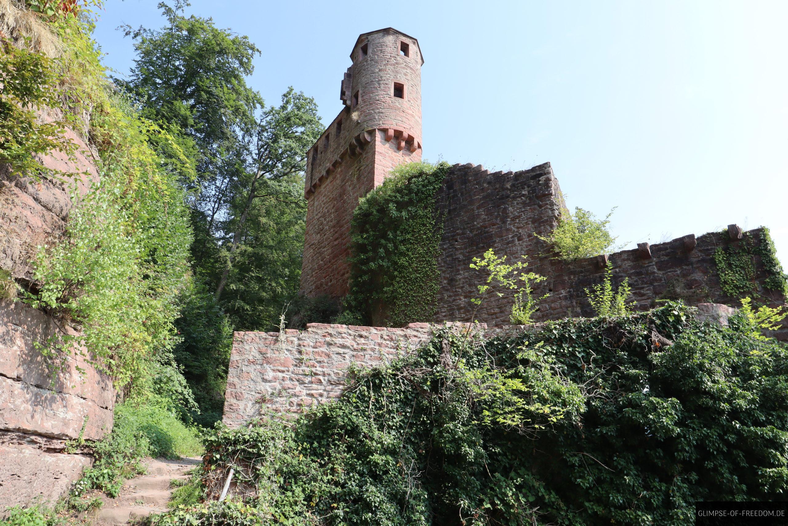 burgruine schwalbennest natur scaled 1 burgruine schwalbennest natur scaled