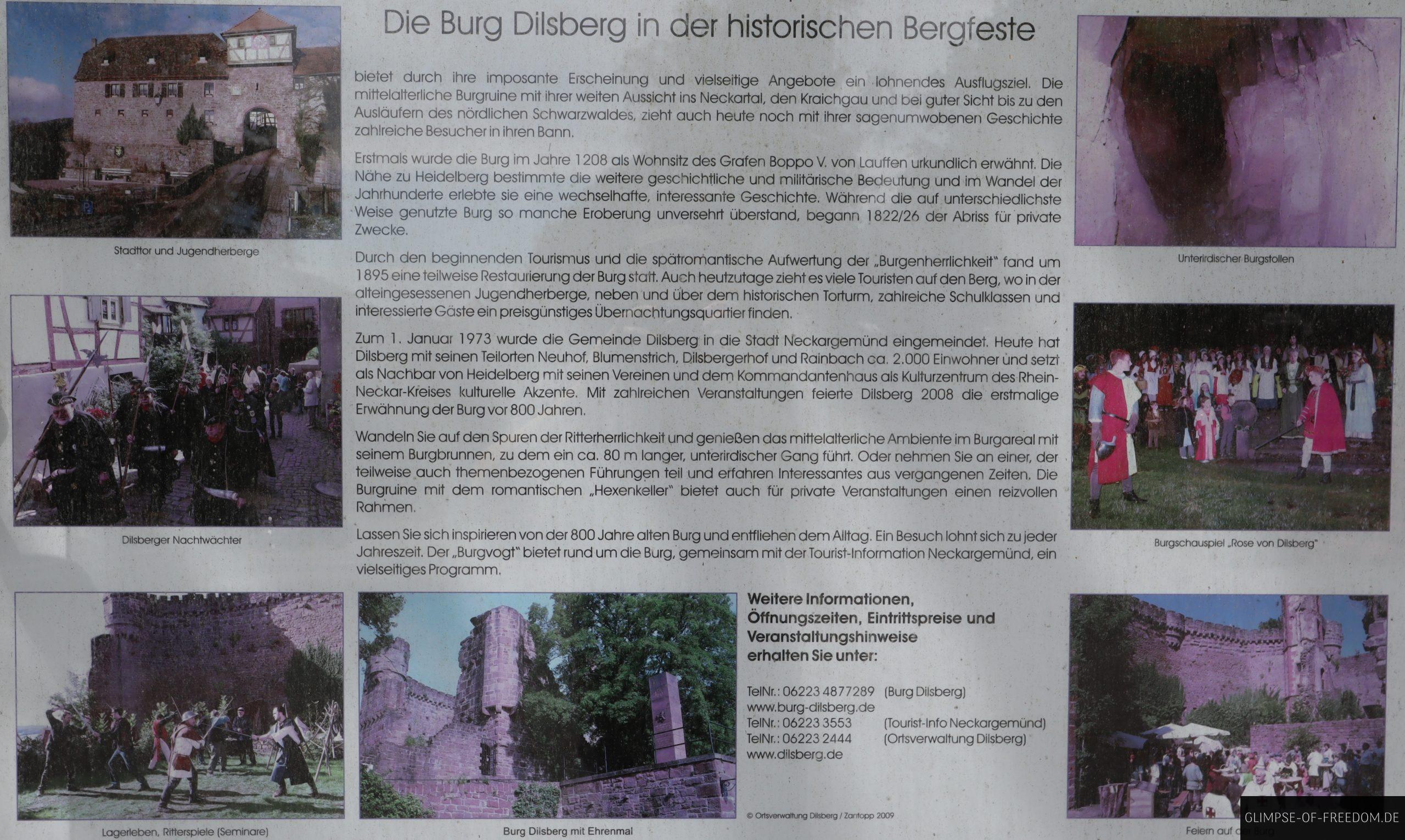 die burg dilsberg in der historischen burgfeste scaled 1 die burg dilsberg in der historischen burgfeste scaled