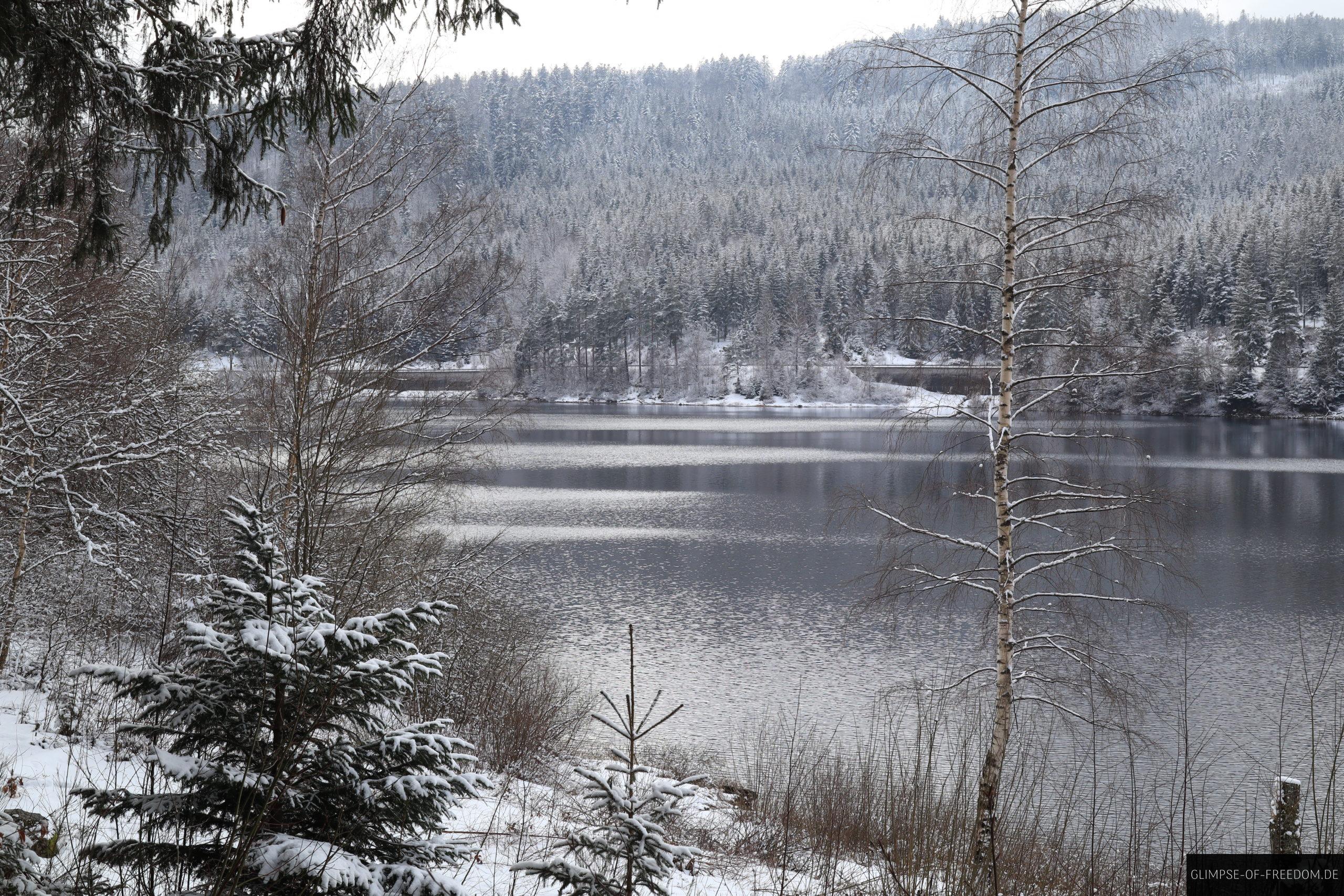 entlang des rundwegs an der talsperre scaled 1 entlang des rundwegs an der talsperre scaled