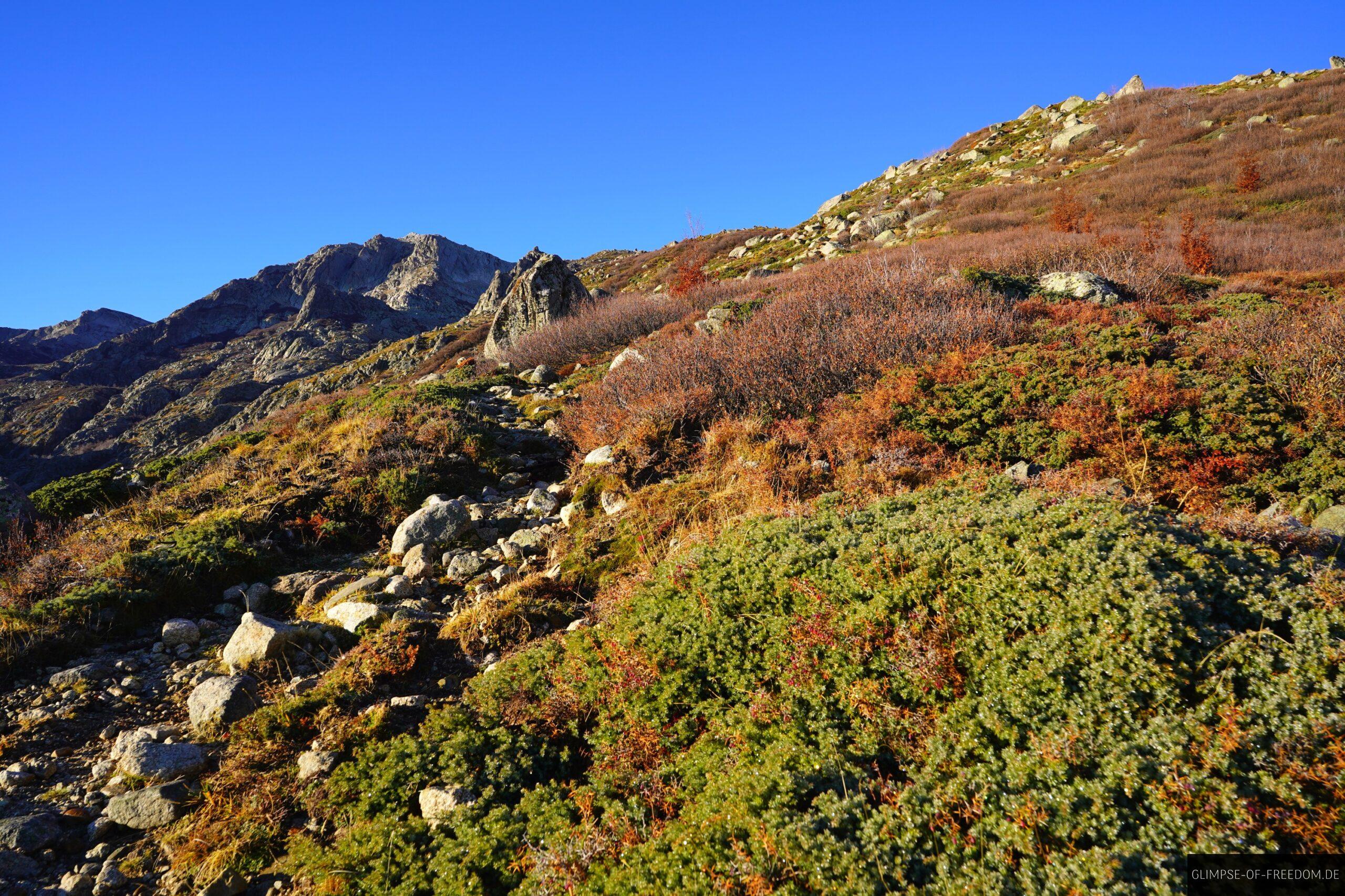 felsiger wanderpfad an berghang mit bergheide monte renoso scaled felsiger wanderpfad an berghang mit bergheide monte renoso