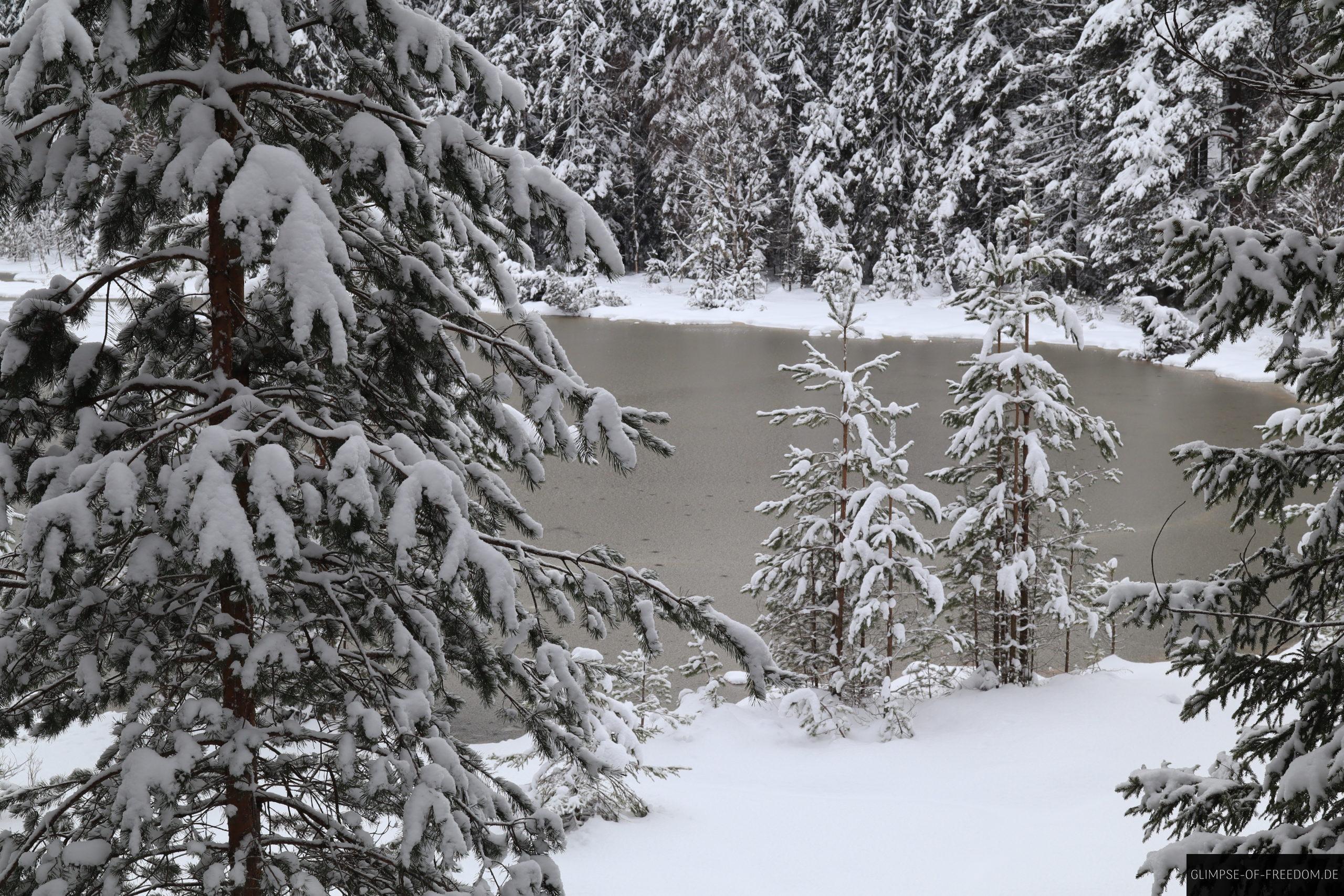 herrenwieser see im winter scaled 1 herrenwieser see im winter scaled